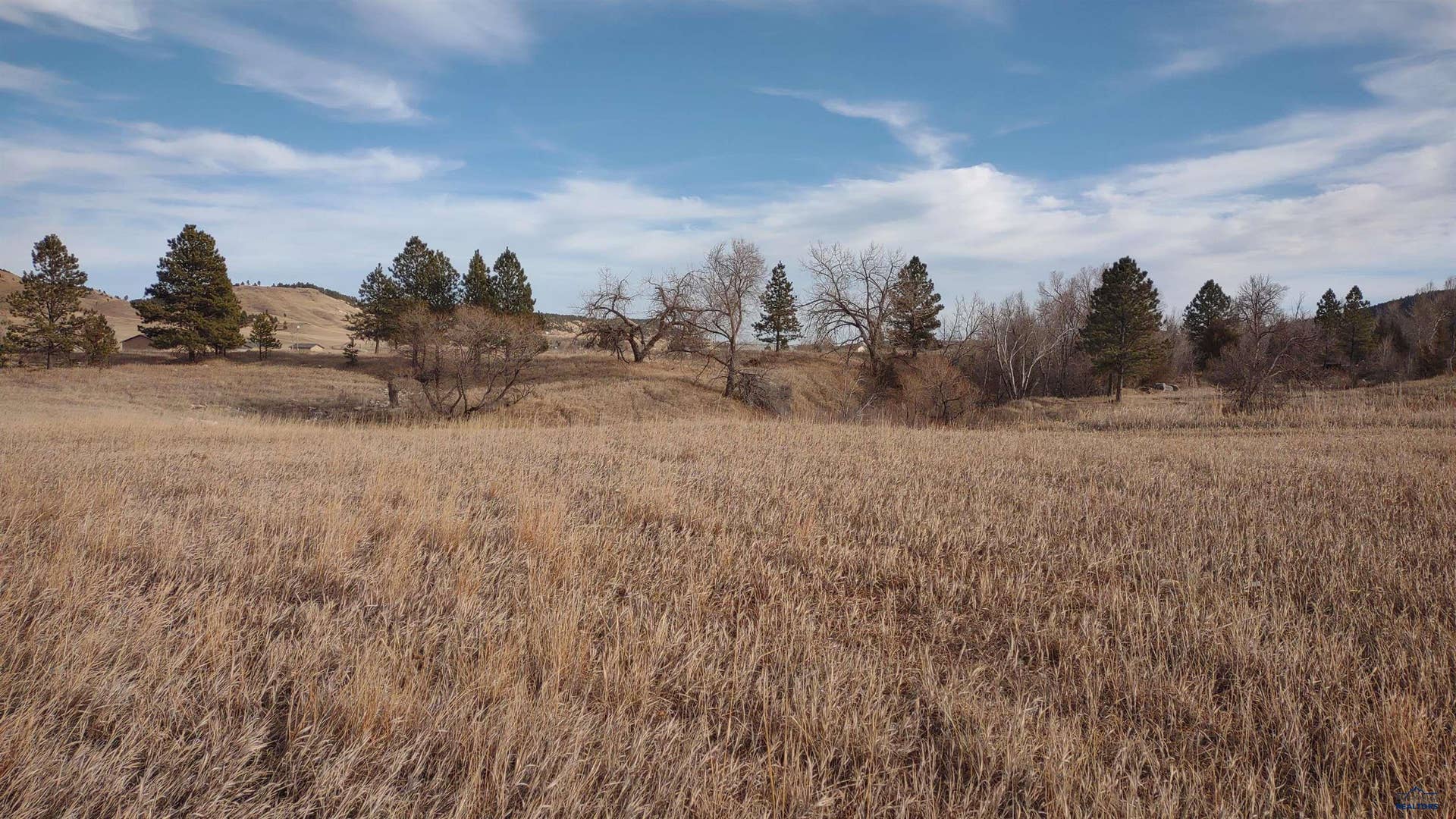 13496 STURGIS RD, Piedmont, SD 57769