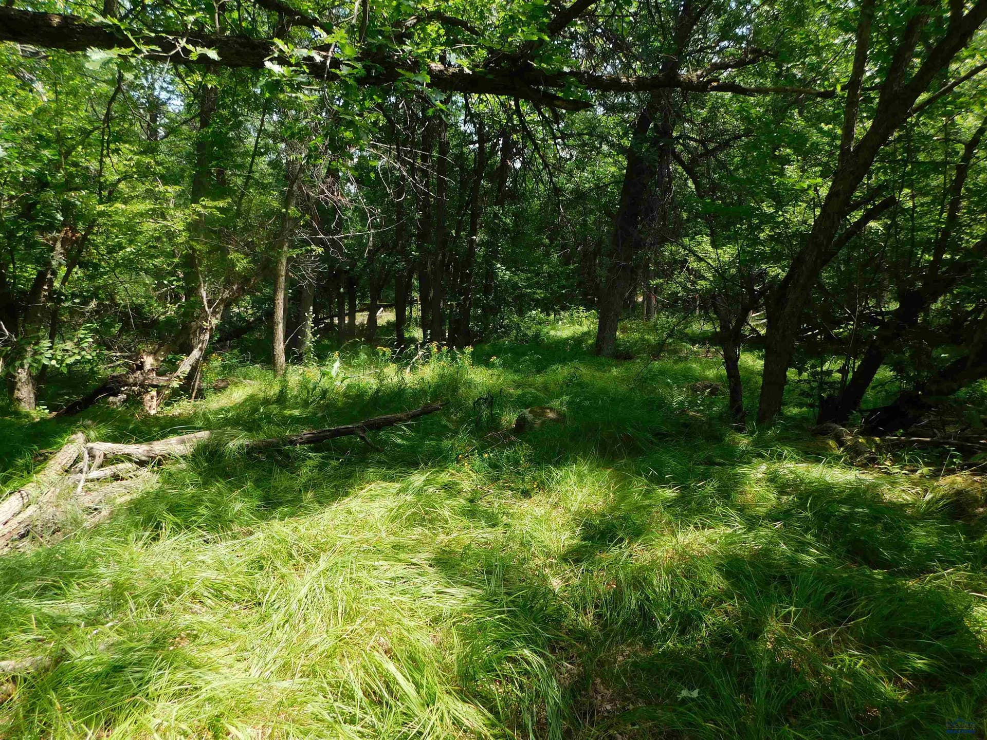 TBD ASPEN WAY, Whitewood, SD 57793