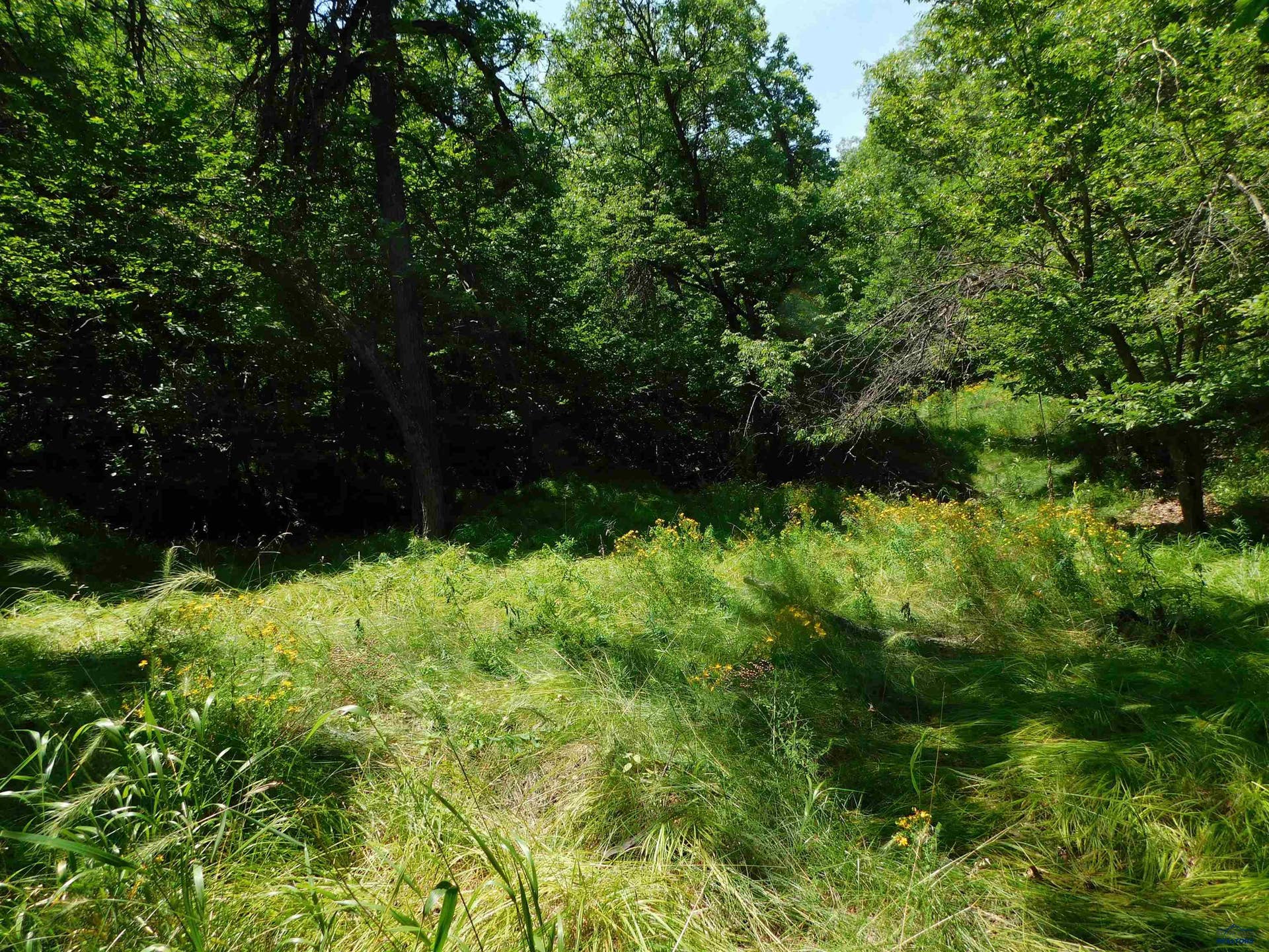 TBD ASPEN WAY, Whitewood, SD 57793