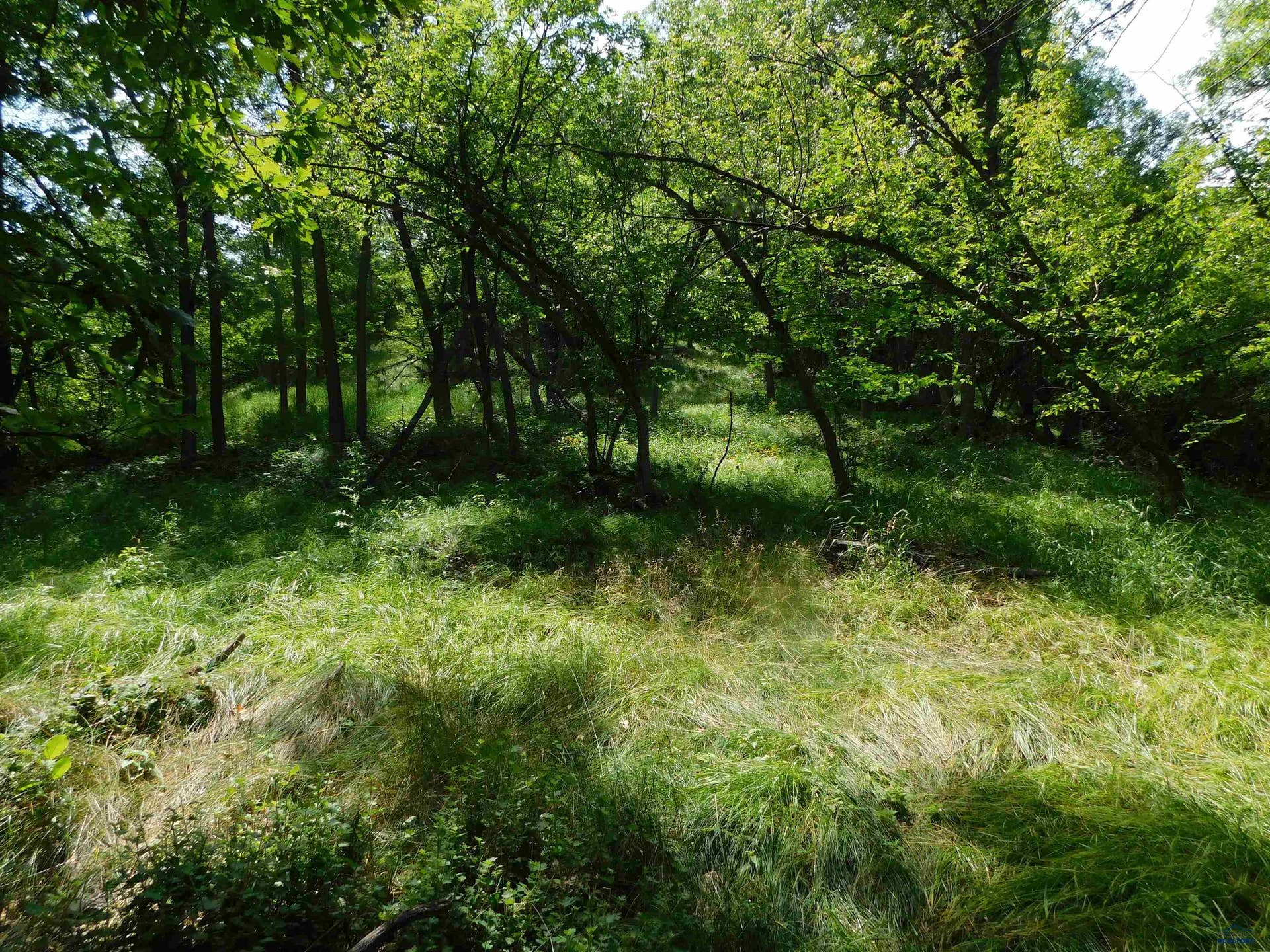 TBD ASPEN WAY, Whitewood, SD 57793