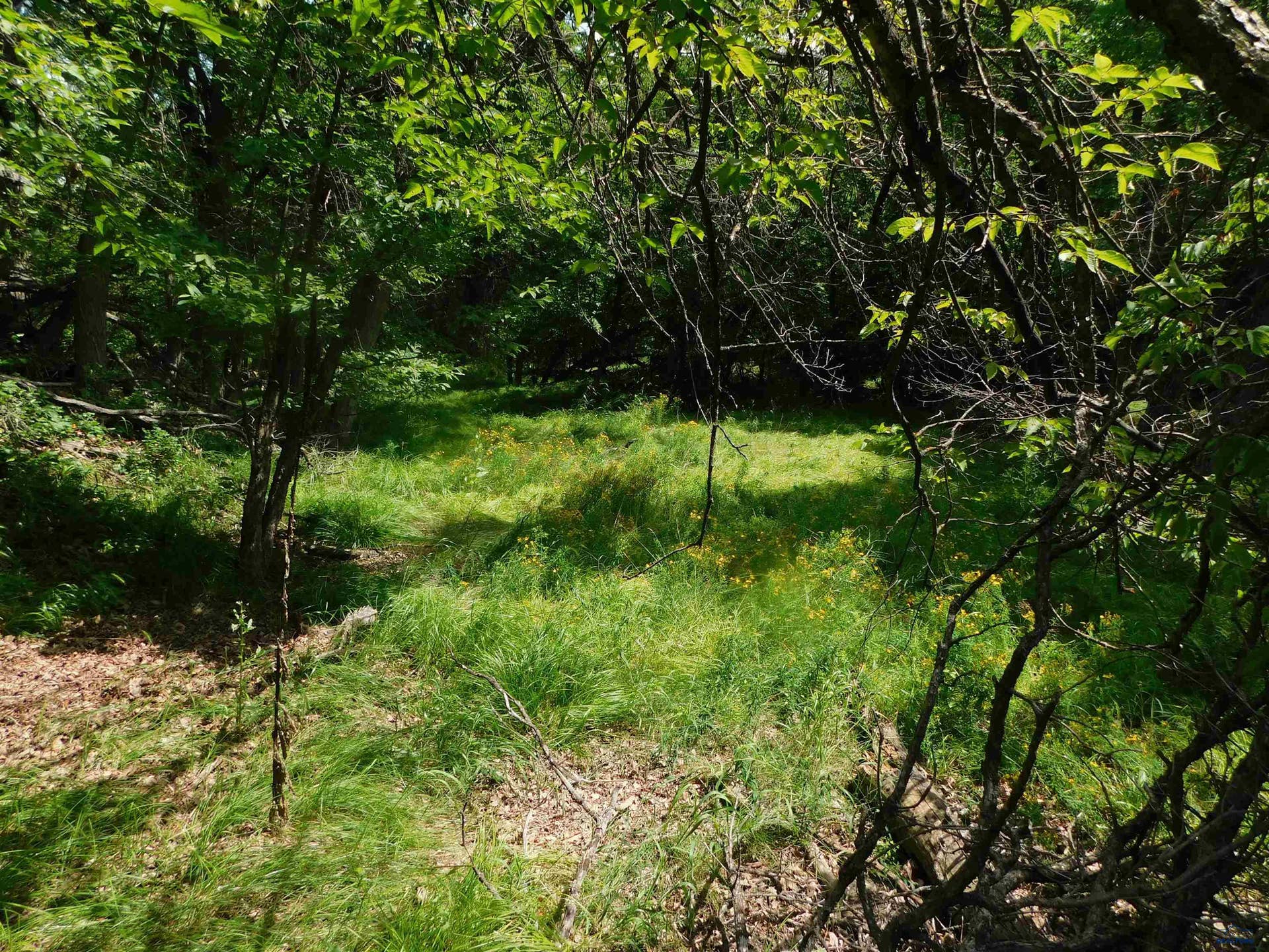 TBD ASPEN WAY, Whitewood, SD 57793