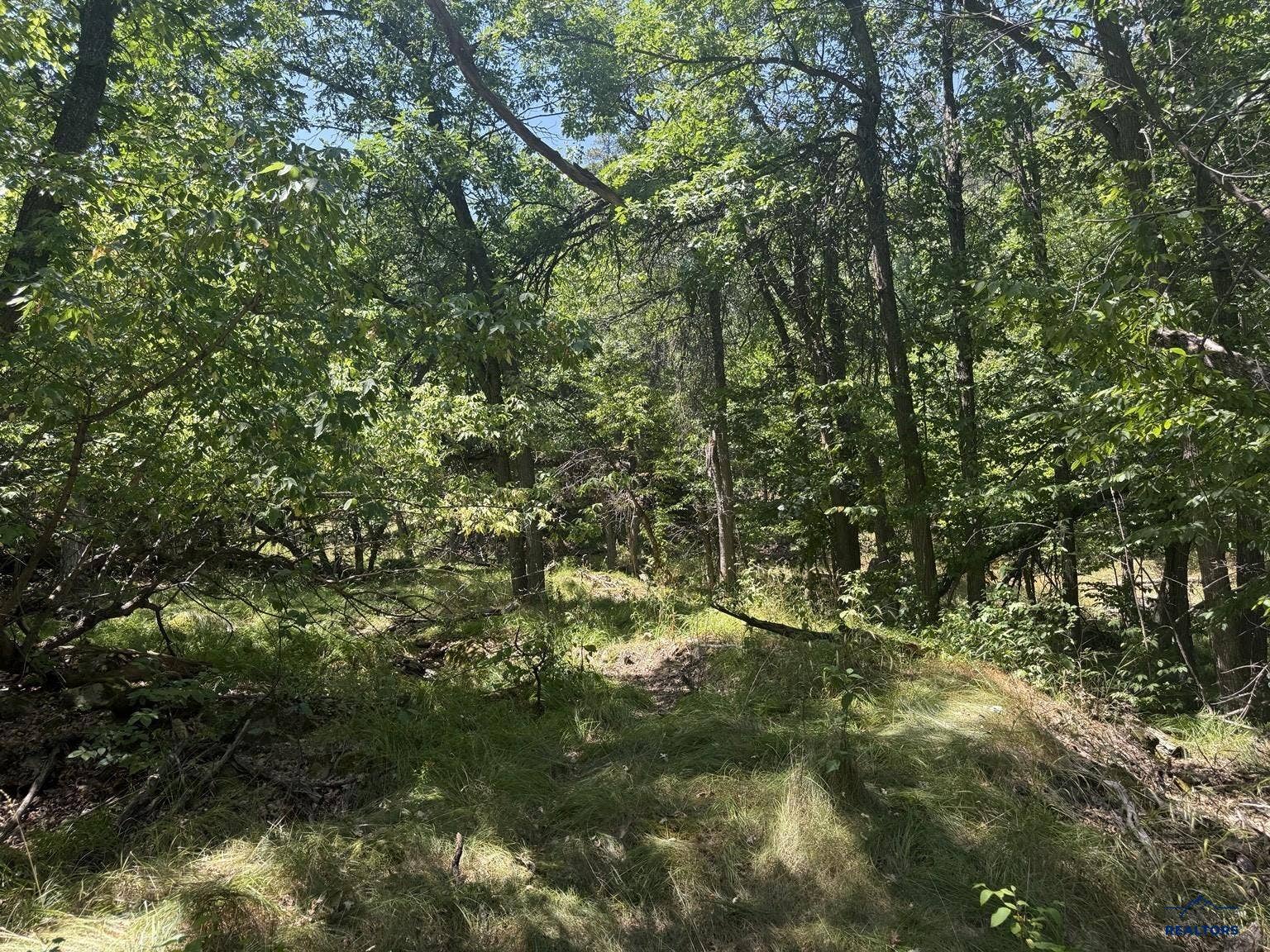 TBD ASPEN WAY, Whitewood, SD 57793