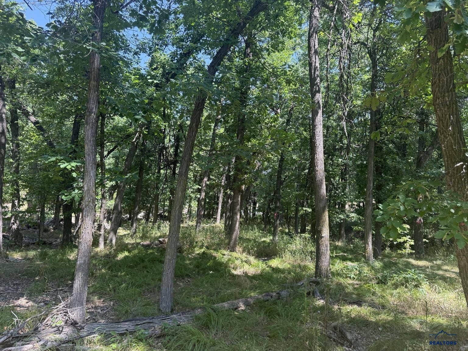 TBD ASPEN WAY, Whitewood, SD 57793