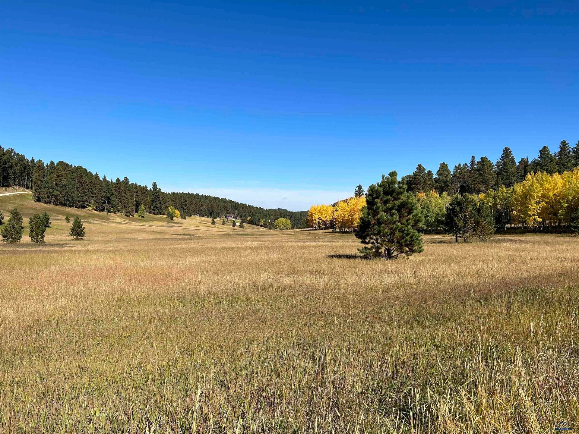 TBD ASPEN LOOKOUT LP, Lead, SD 57754