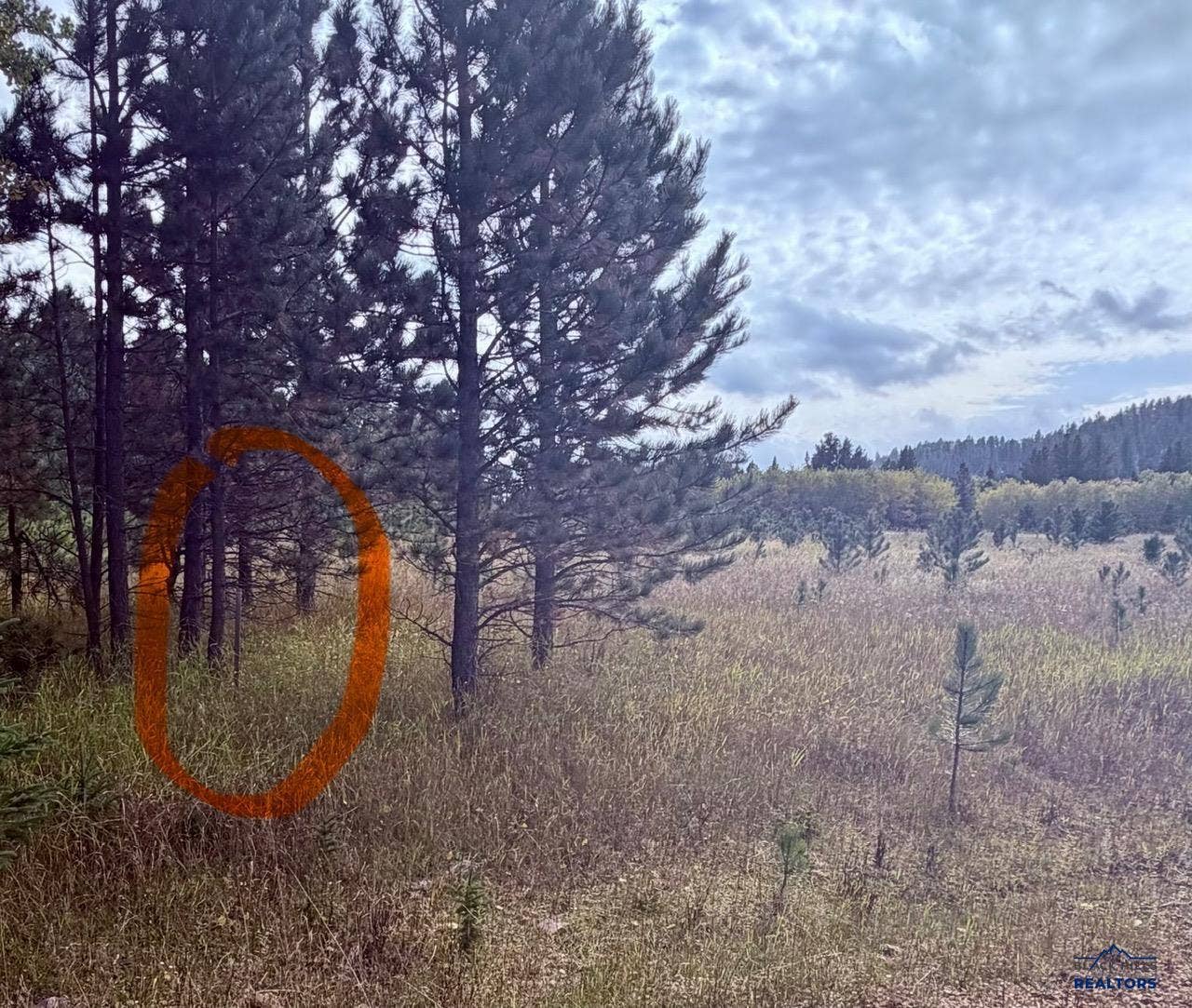 TBD ASPEN LOOKOUT LP, Lead, SD 57754