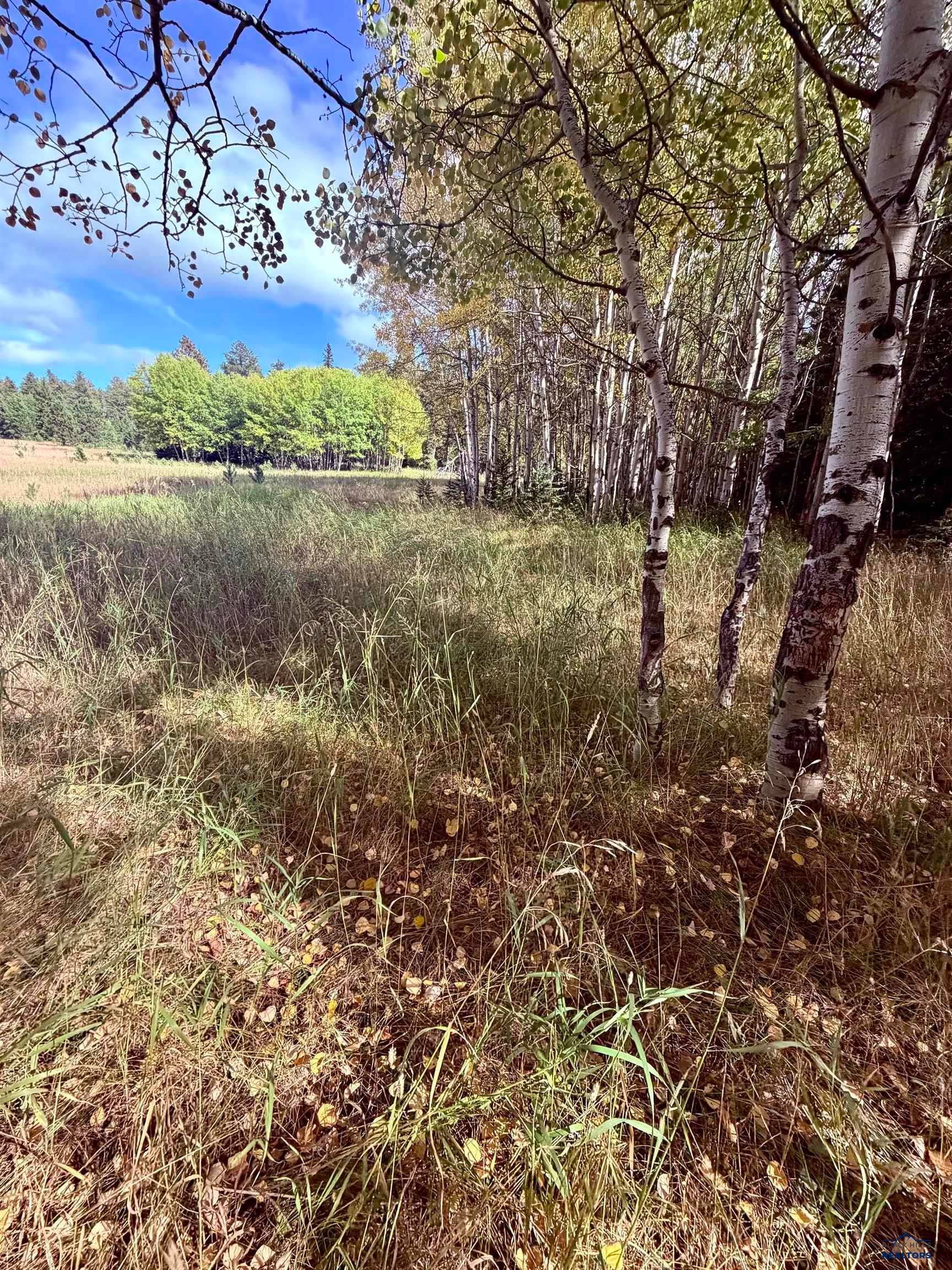 TBD ASPEN LOOKOUT LP, Lead, SD 57754