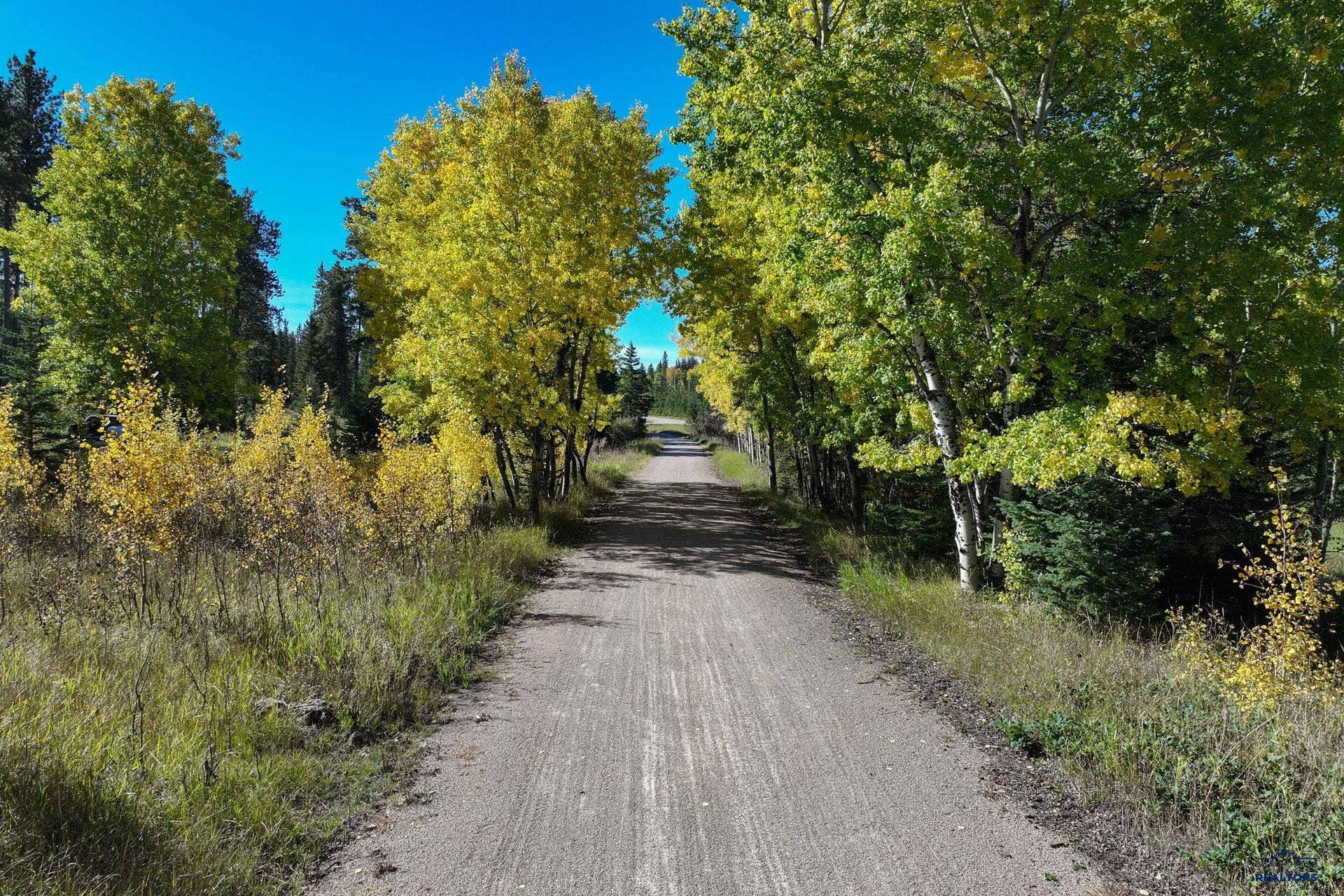 TBD ASPEN LOOKOUT LP, Lead, SD 57754