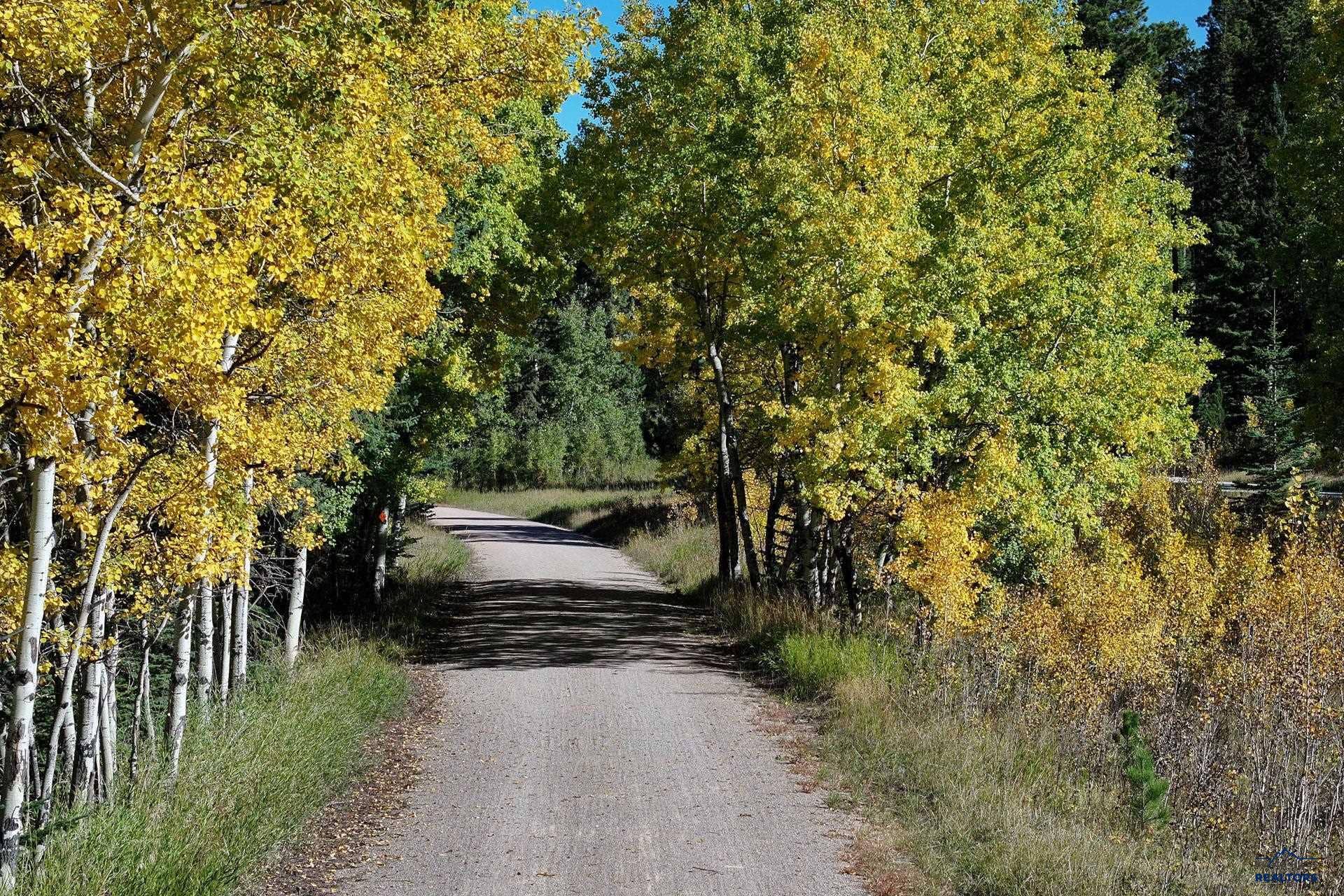 TBD ASPEN LOOKOUT LP, Lead, SD 57754