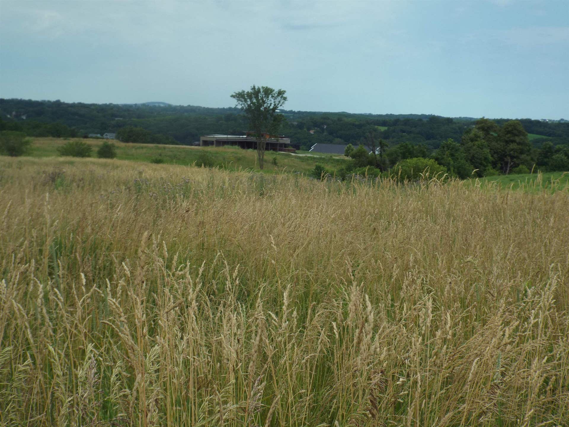 9146 US Hwy 20 W, Galena, IL 61036