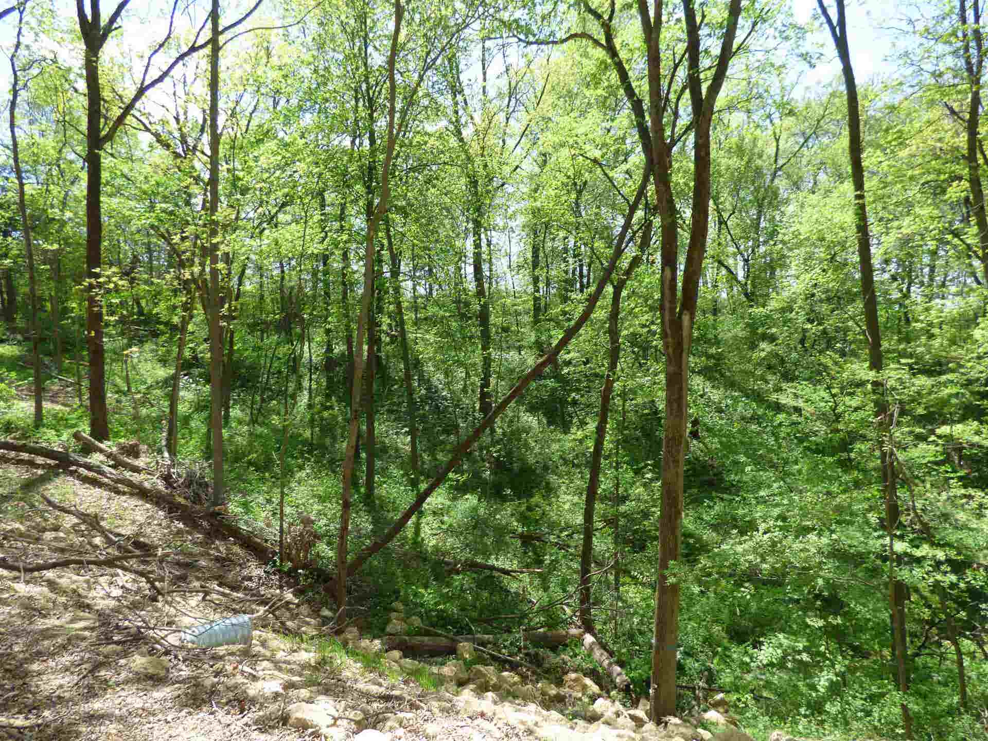 6163 S Blanding Road, Hanover, IL 61041