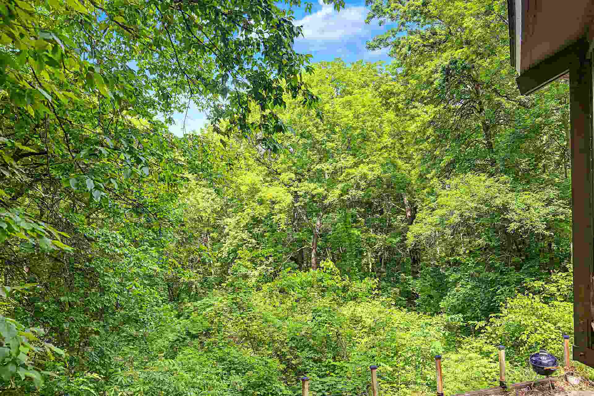 3 Lost Ridge Lane, Galena, IL 61036