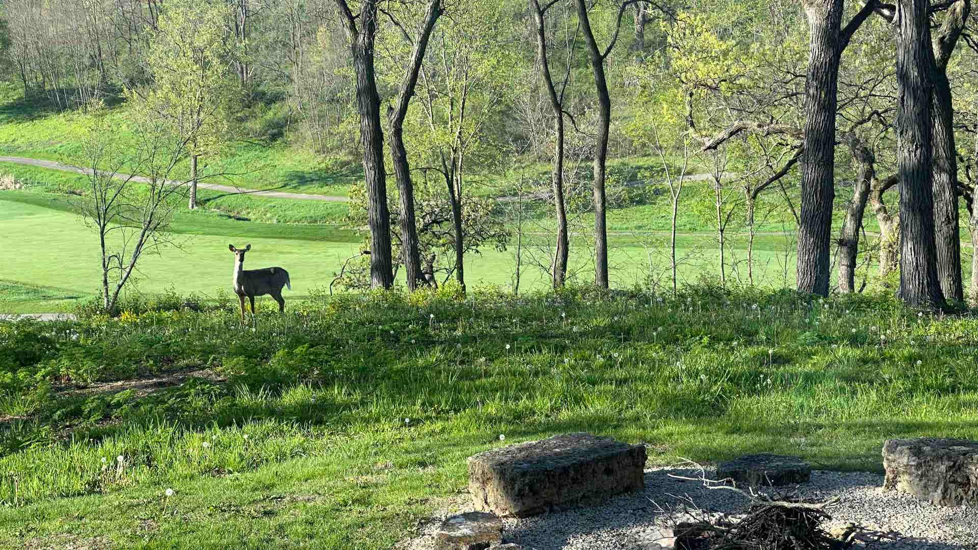 19 Cedar Rim Trail, Galena, IL 61036