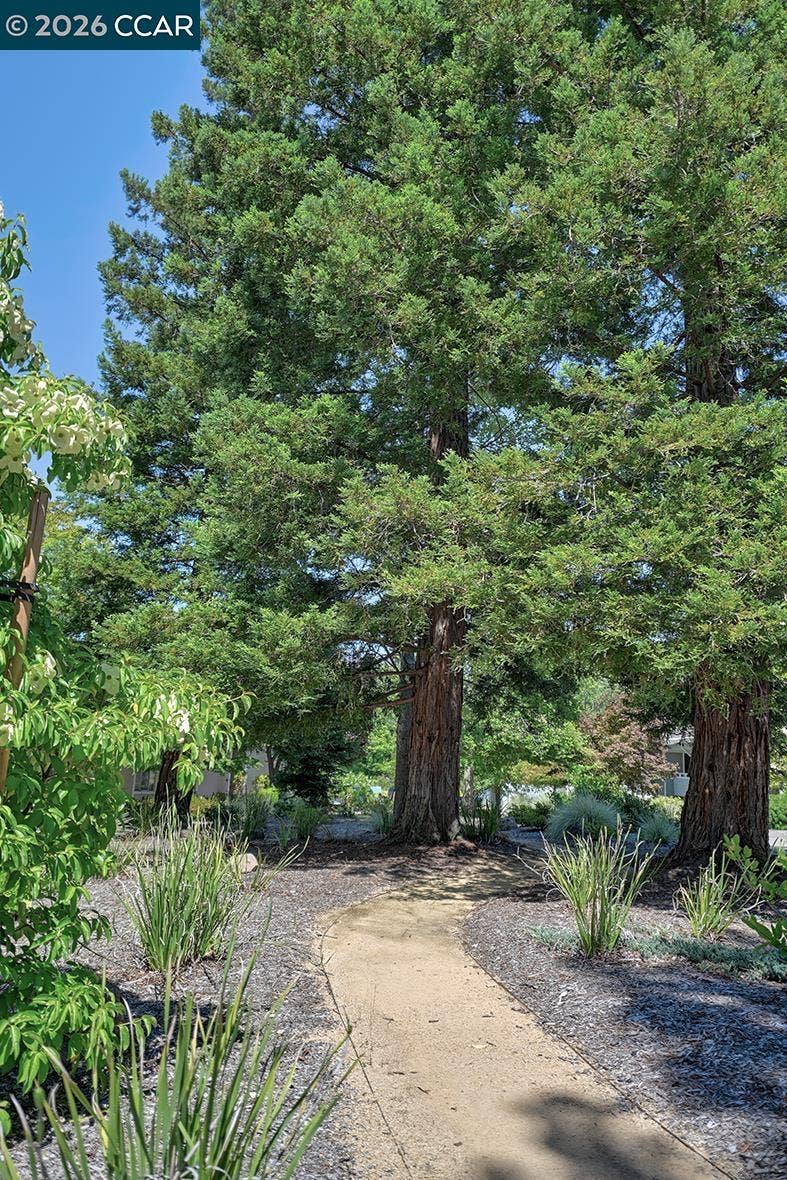 3136 Tice Creek Dr, #5, Walnut Creek, CA 94595