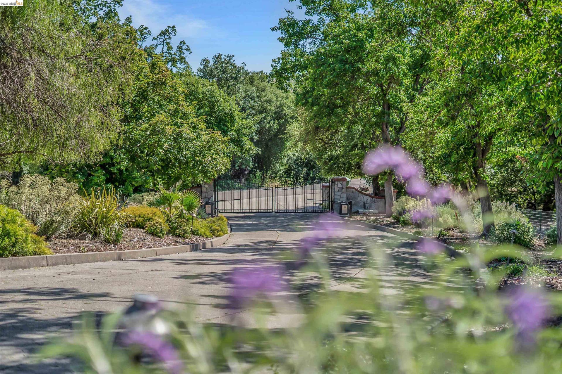 Gated entryway framed by mature trees