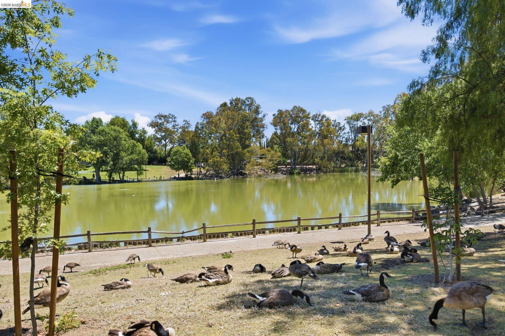 Waterfront setting with a clear blue sky, featuring a natural water body, a paved pathway, and surrounding mature trees