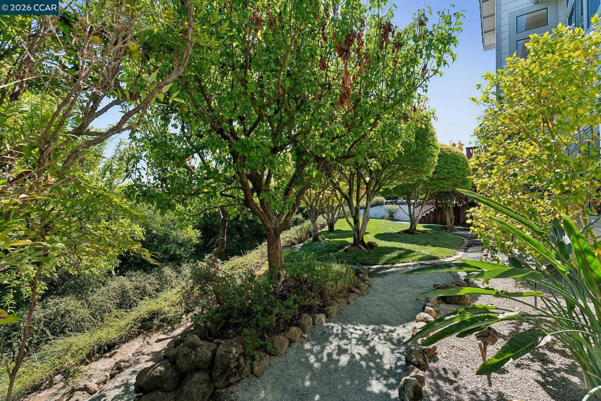 905 Dana Highlands Ct, Lafayette, CA 94549