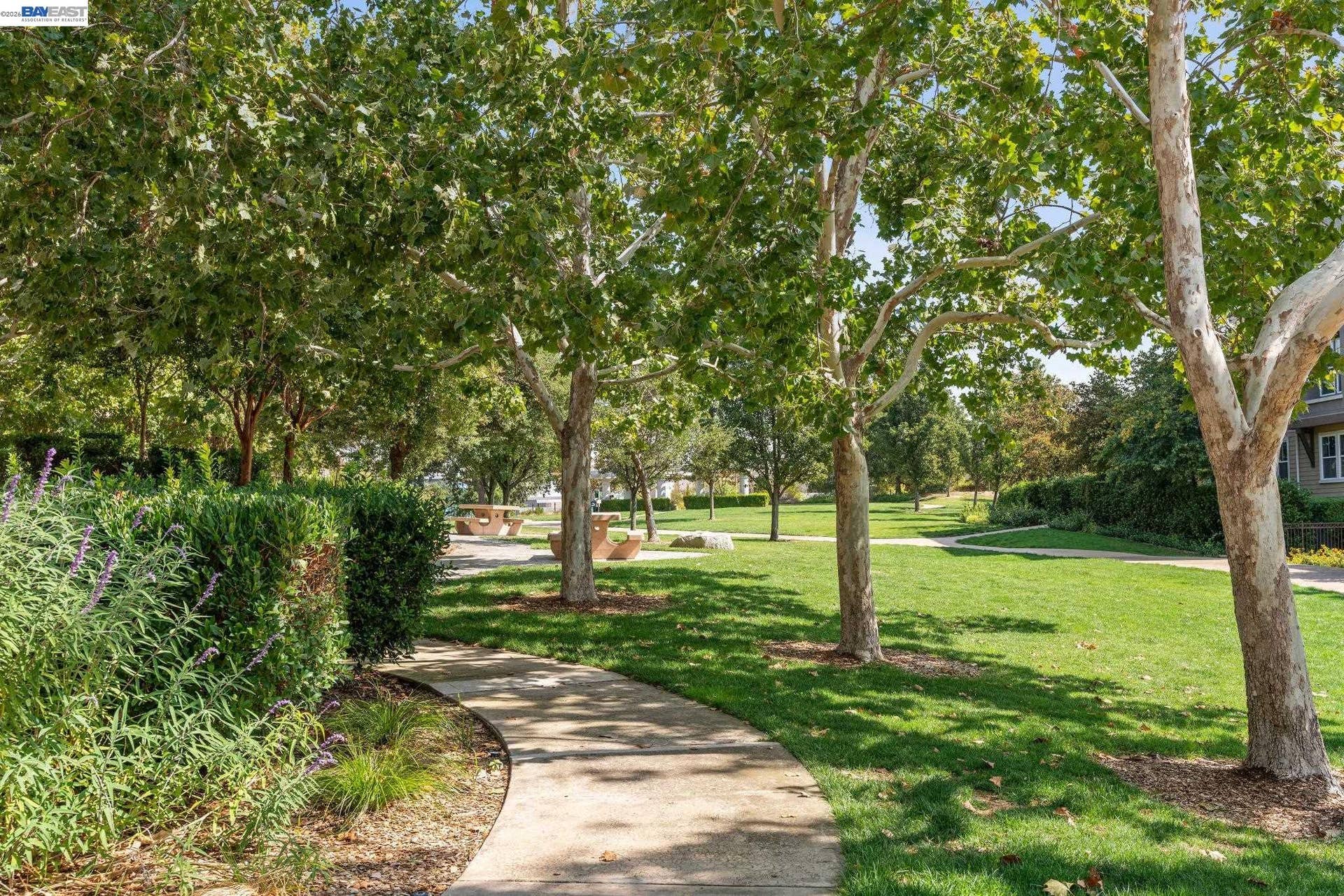 1315 Alma Ave, #211, Walnut Creek, CA 94596