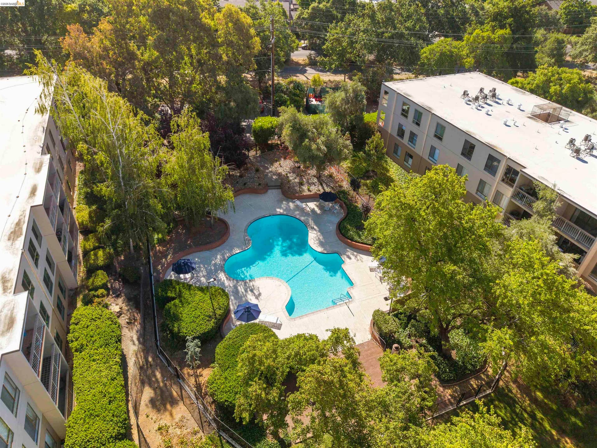 420 N Civic Dr, #207, Walnut Creek, CA 94596