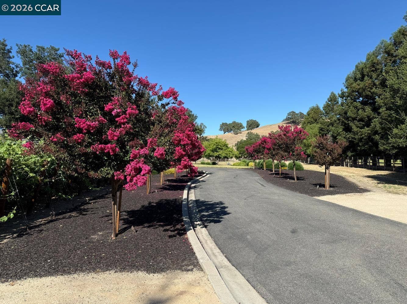 5401 Penny Ln, Danville, CA 94506