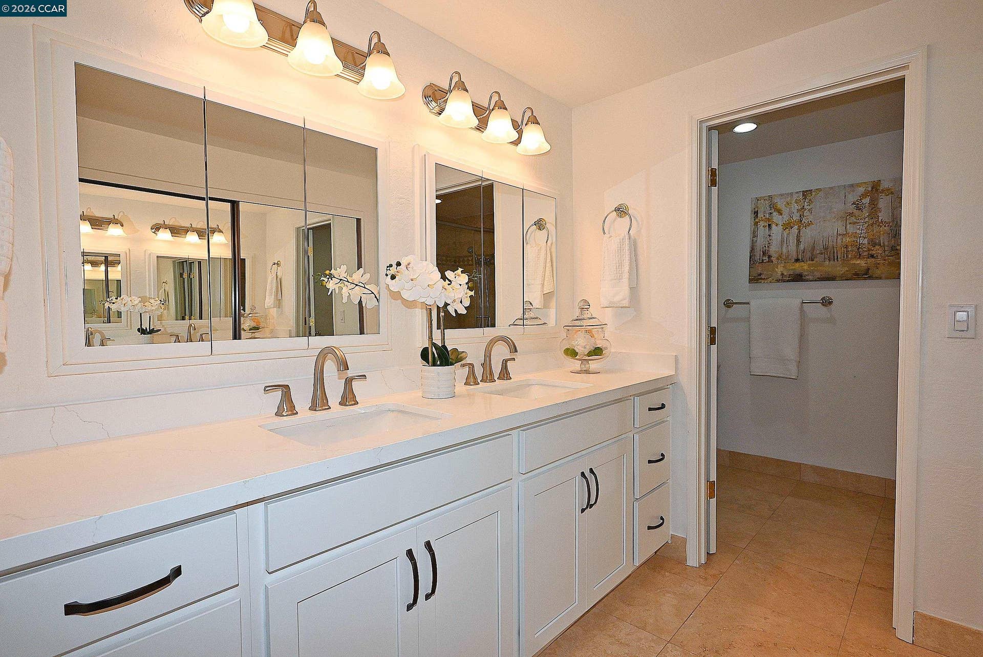 597 Saint George Rd, Danville, CA 94526