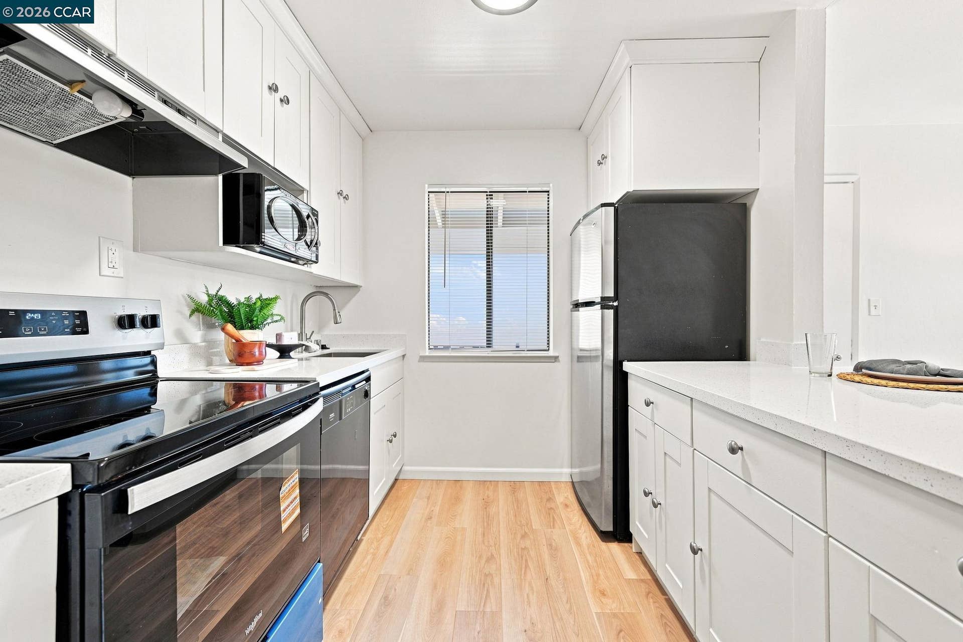 New stove & oven