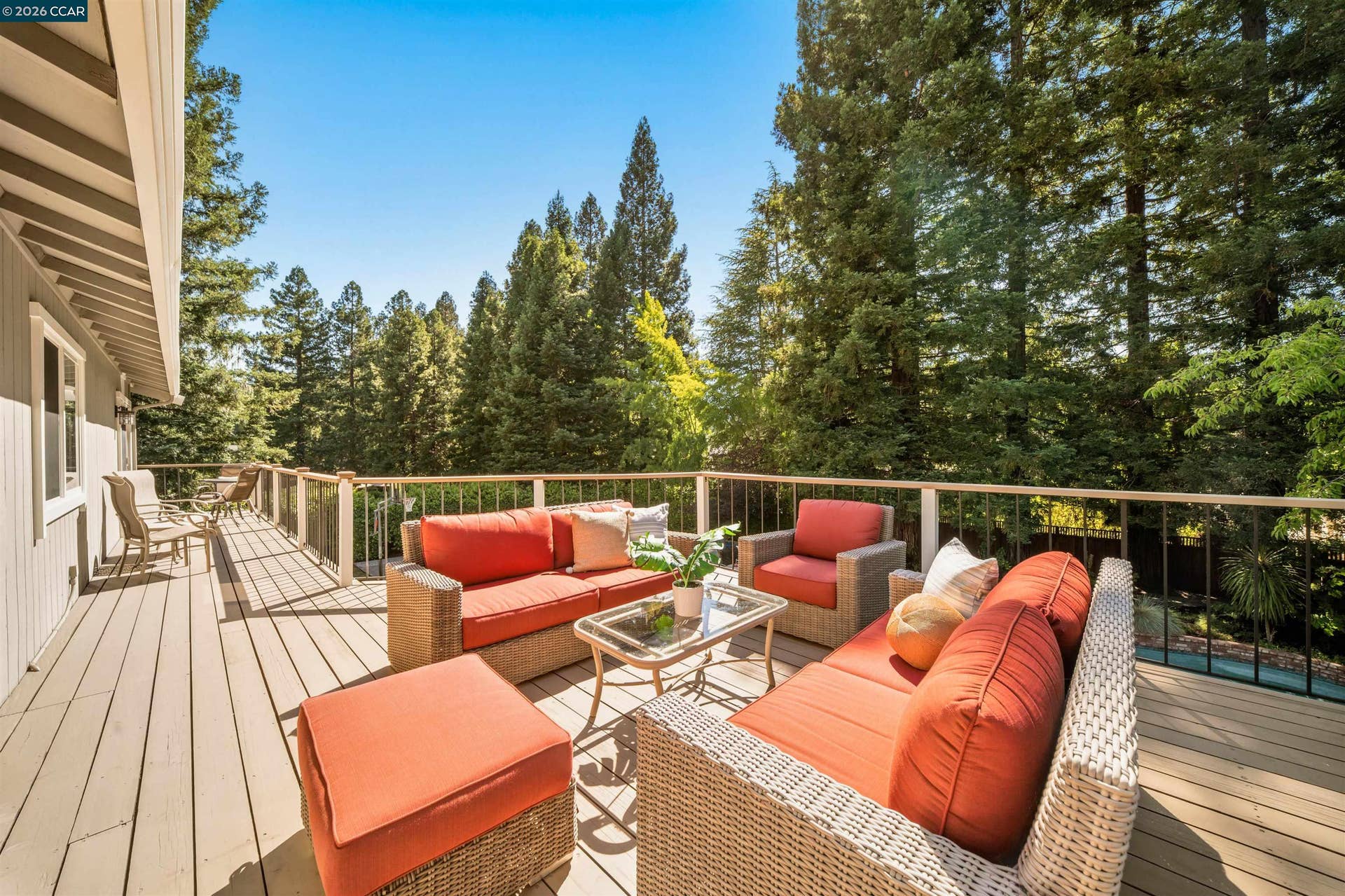 Sun Deck