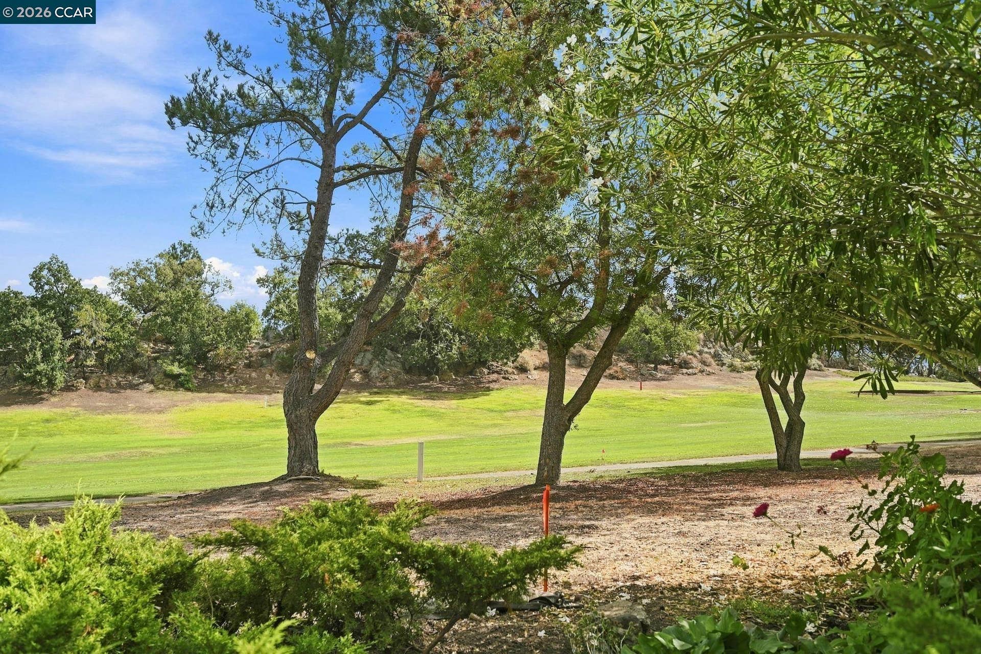 1447 Marchbanks Dr, #1, Walnut Creek, CA 94598