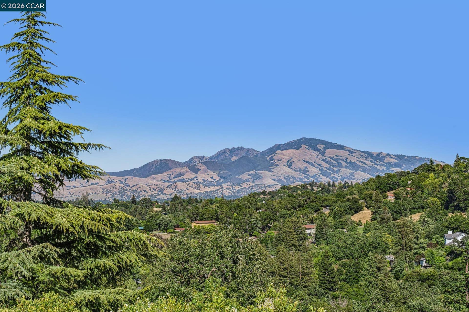 Mt. Diablo View