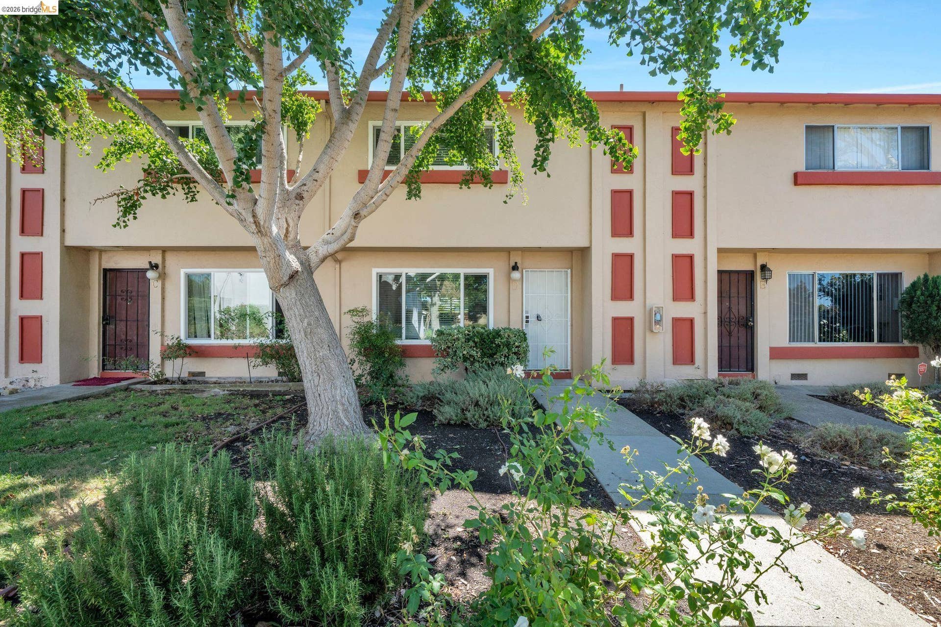 Multi-unit exterior with concrete pathways and mature landscaping
