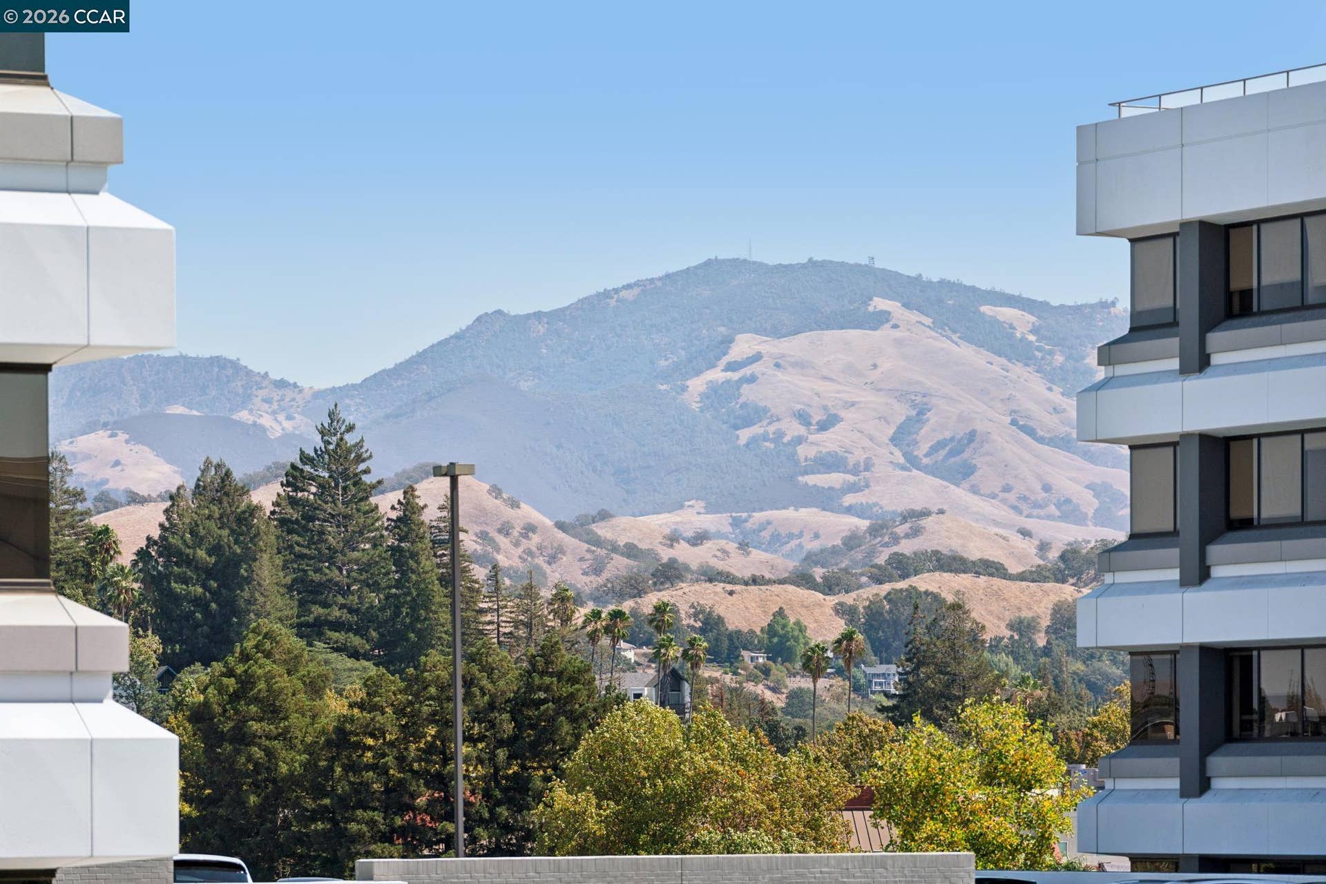 1655 N California Blvd, #362, Walnut Creek, CA 94596