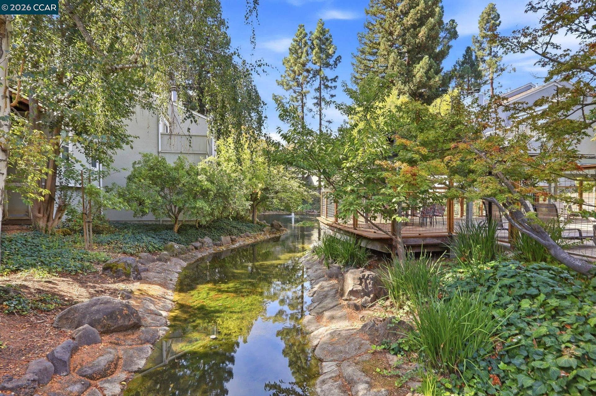 Pond
