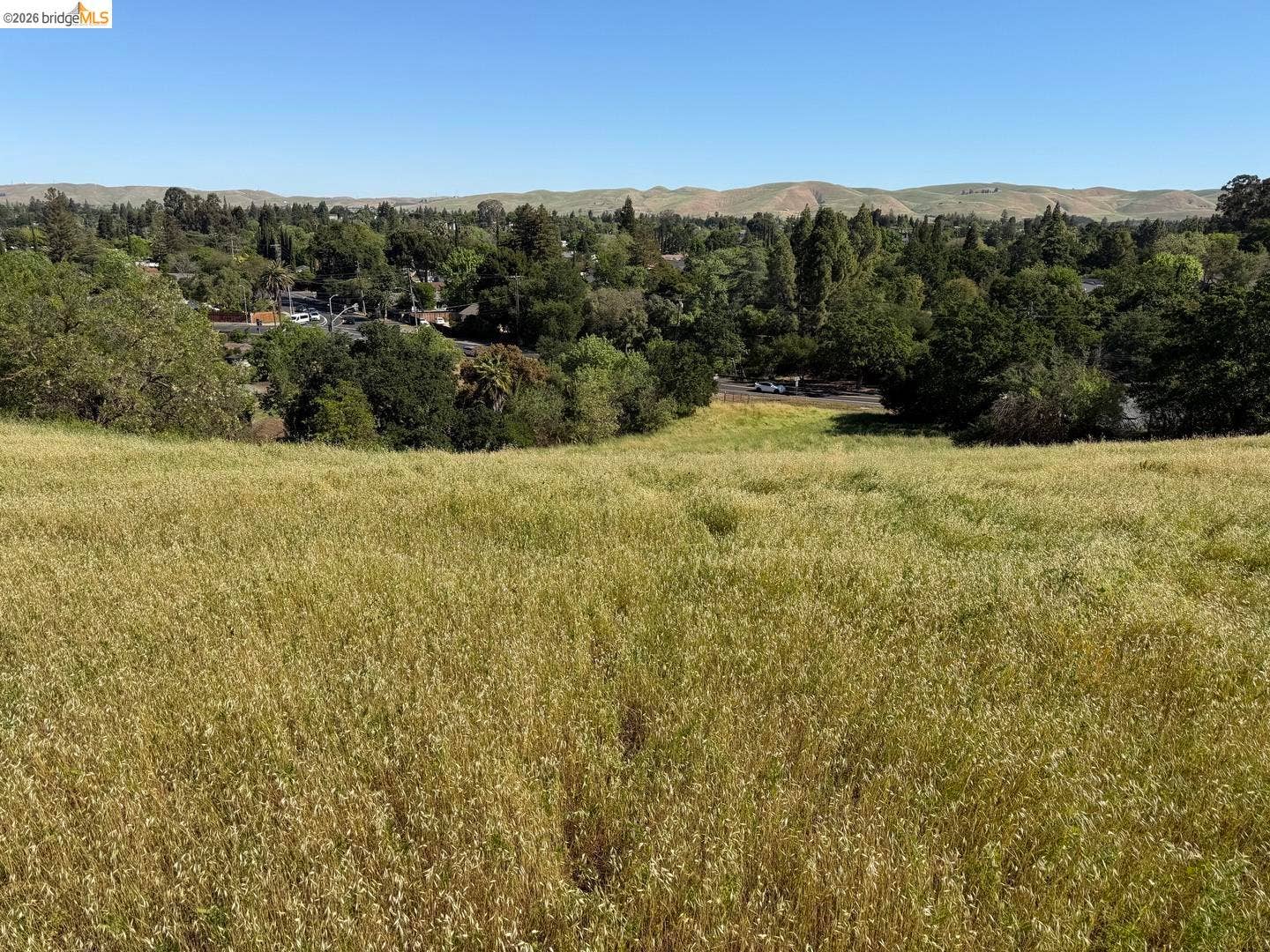 Expansive hillside property featuring natural golden grasses and a backdrop of established trees