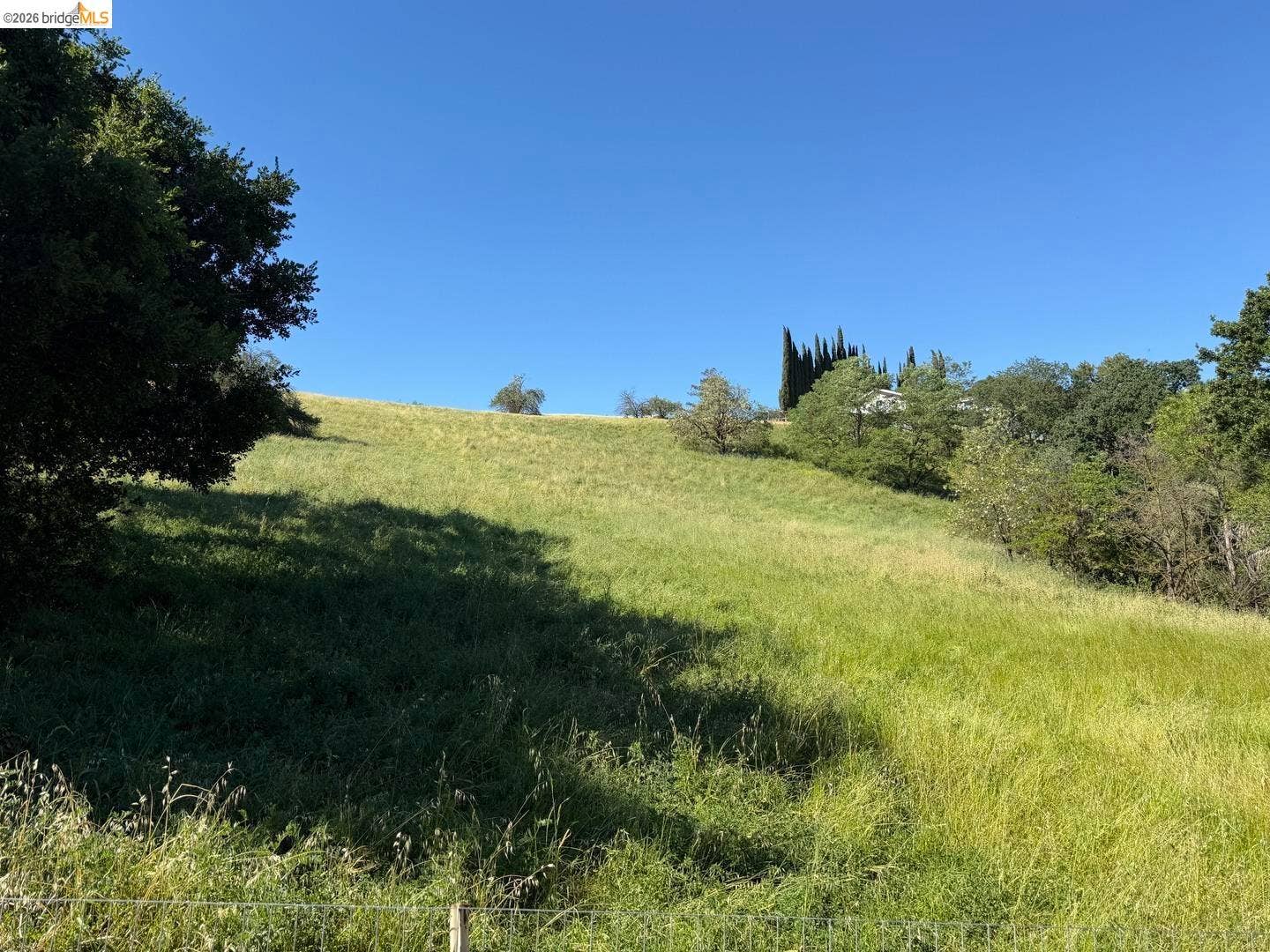 Expansive grassy hillside with mature trees and distant residential structures