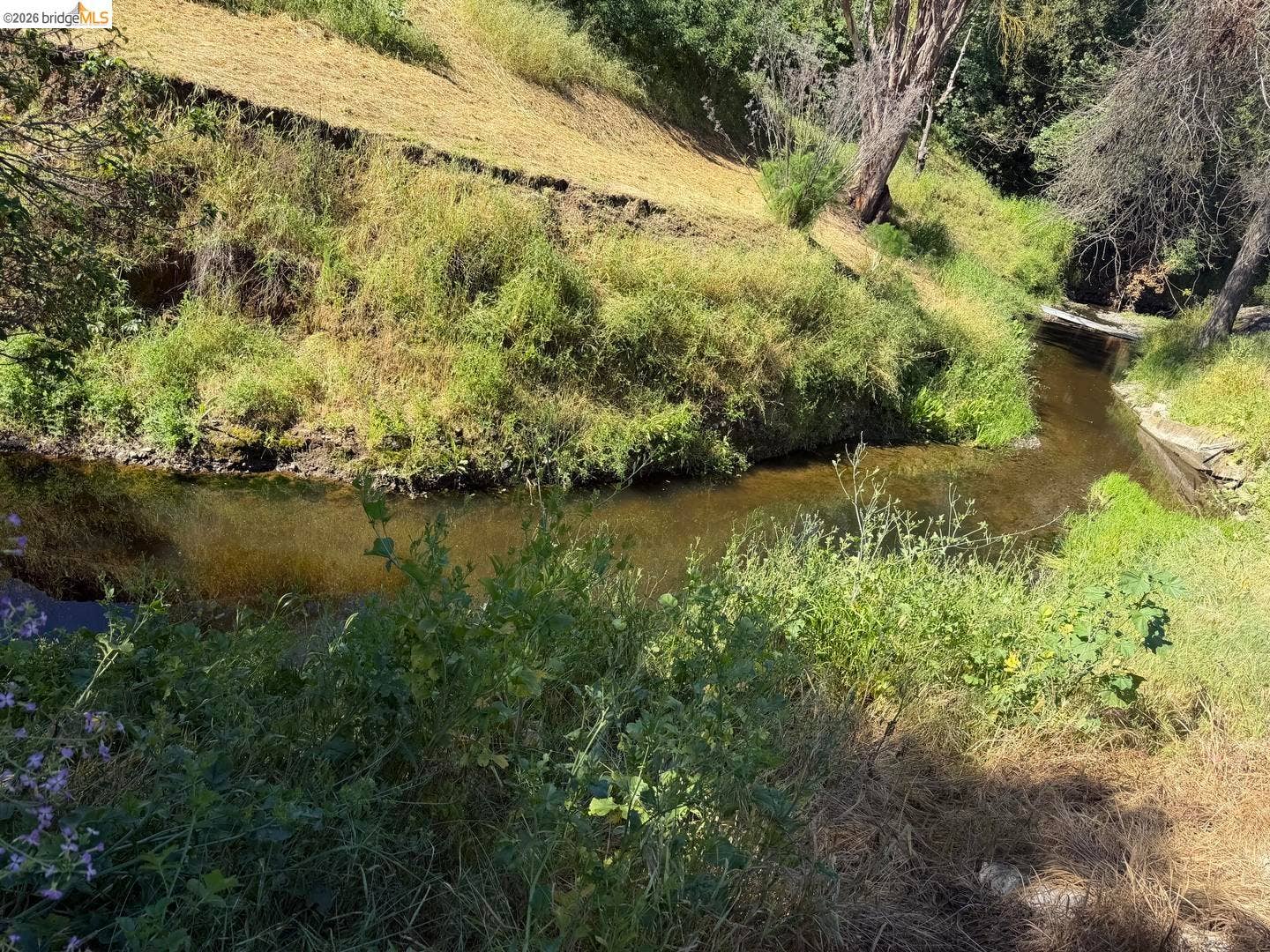 Natural creek frontage with varied terrain and mature trees