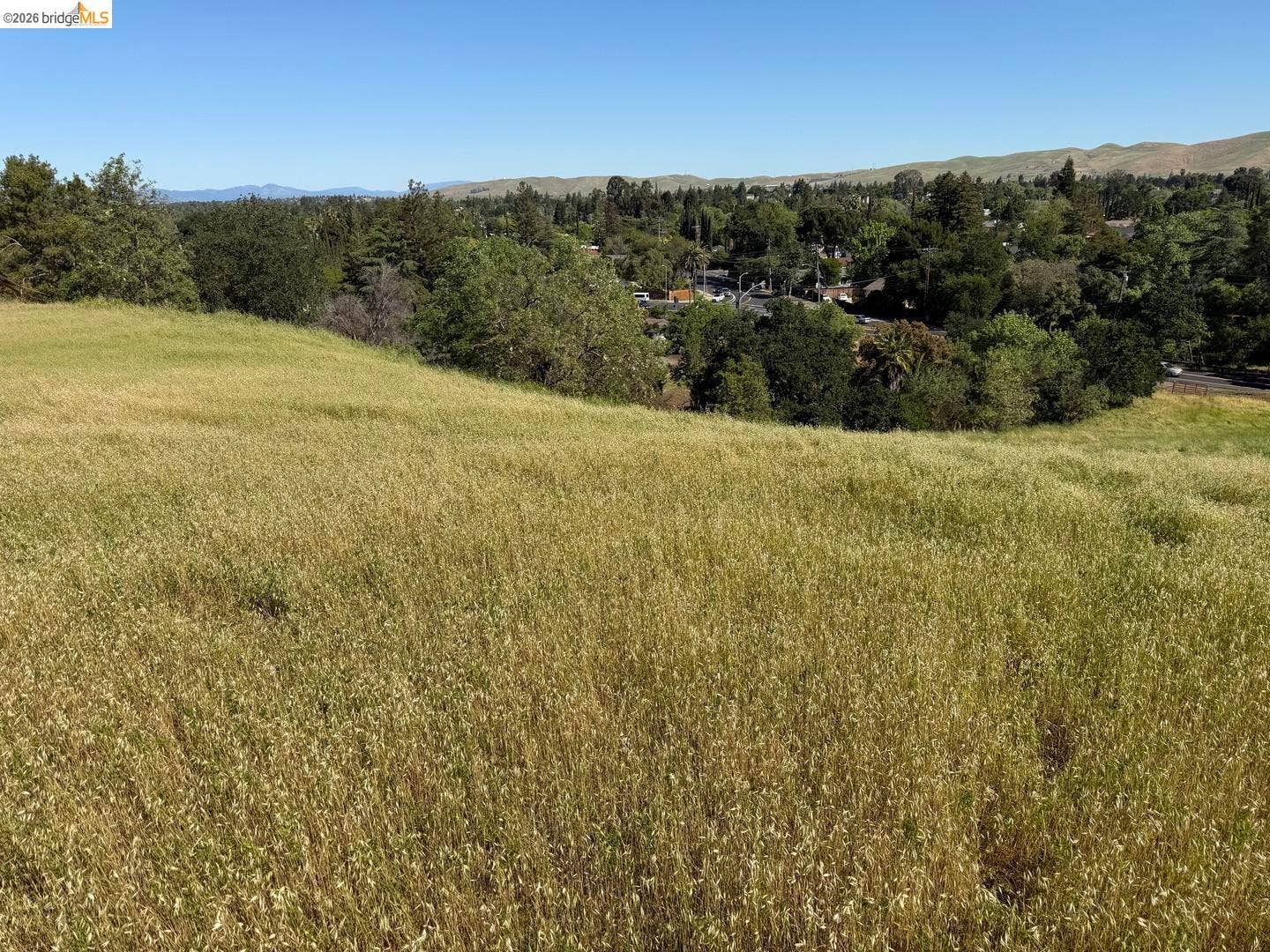 Expansive hillside property featuring natural golden grasses and distant foliage