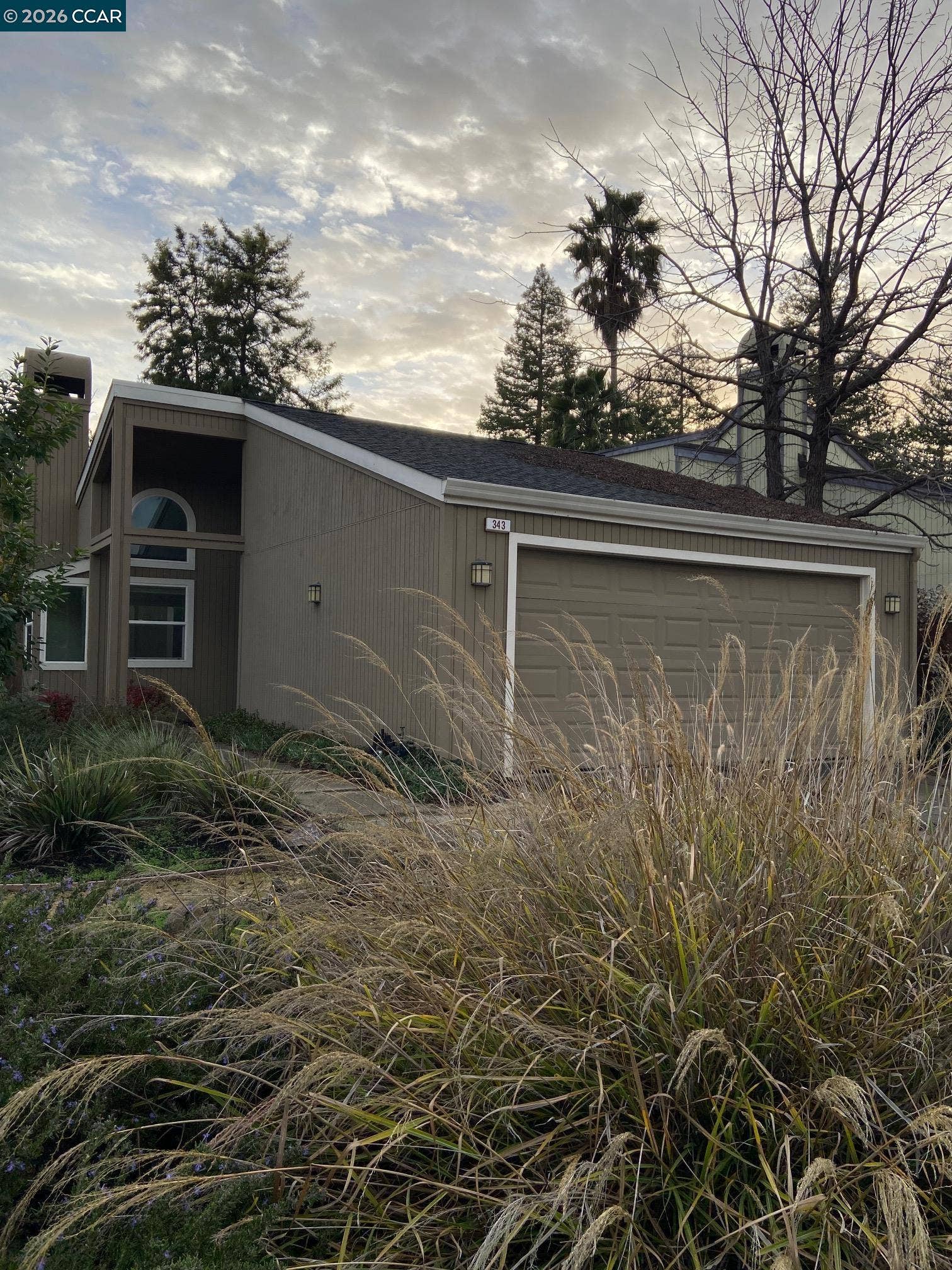 Front Yard