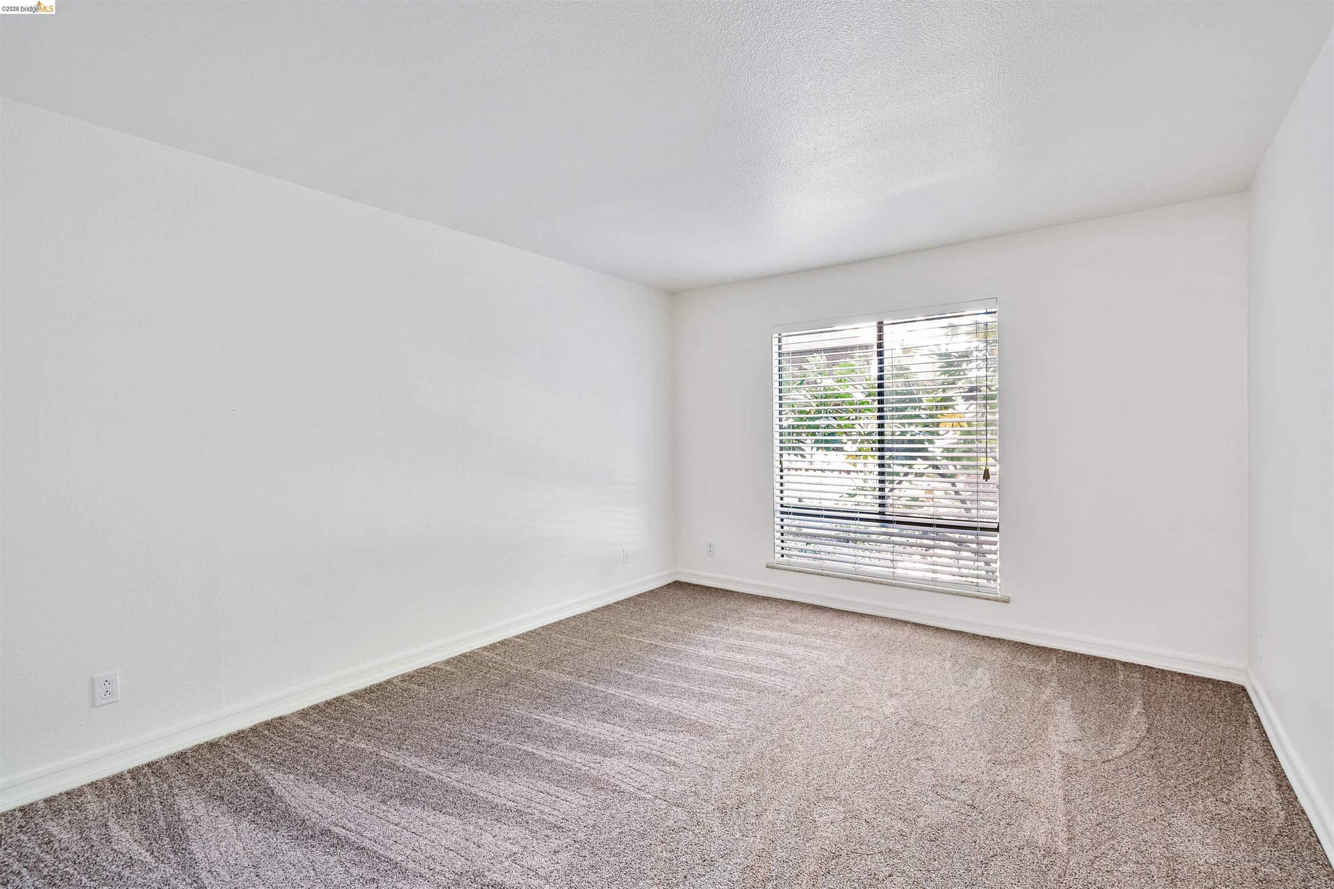 Neutral wall finishes and patterned carpeting
