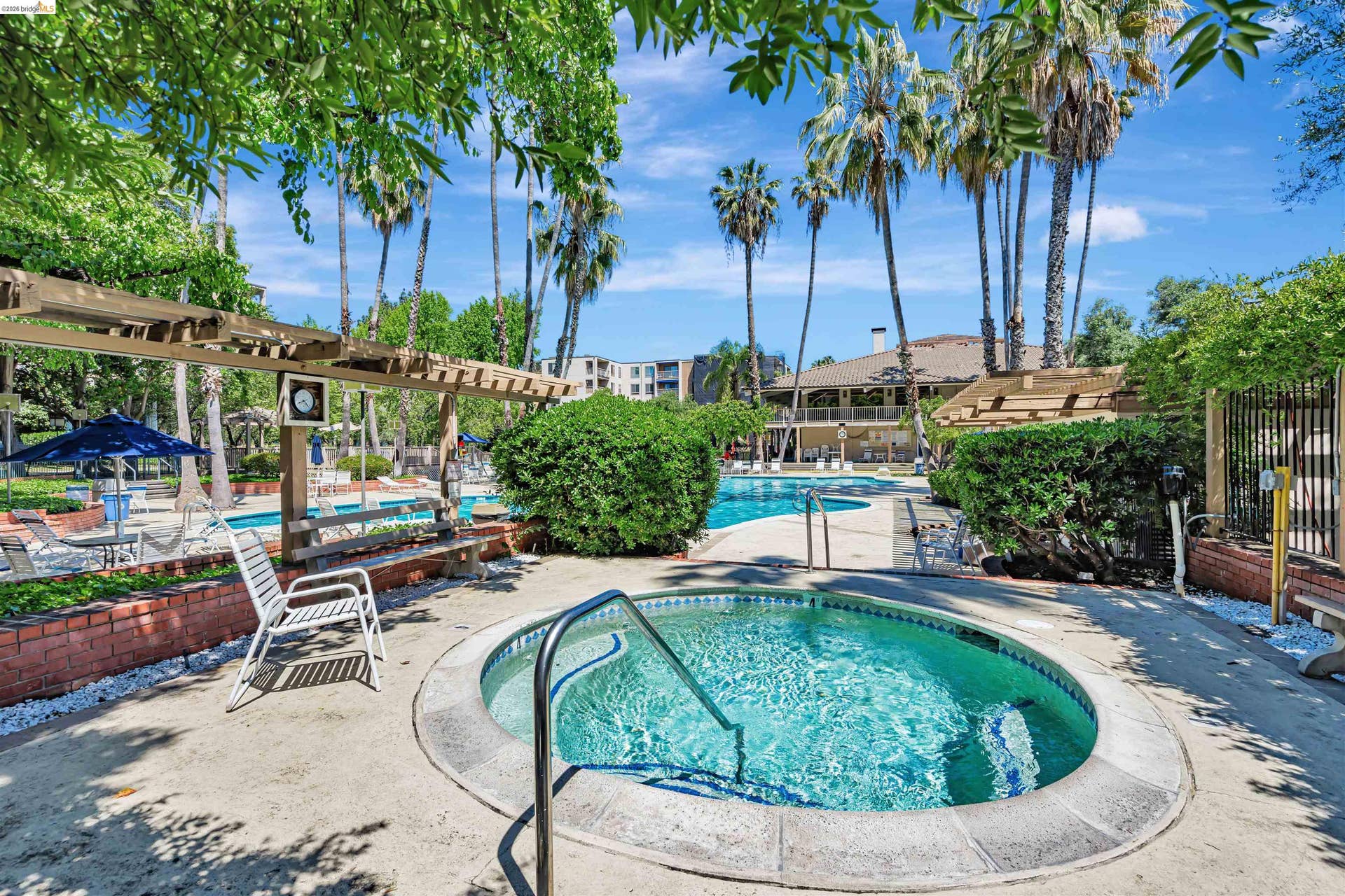 Circular spa with integrated steps, surrounded by concrete decking and lush landscaping