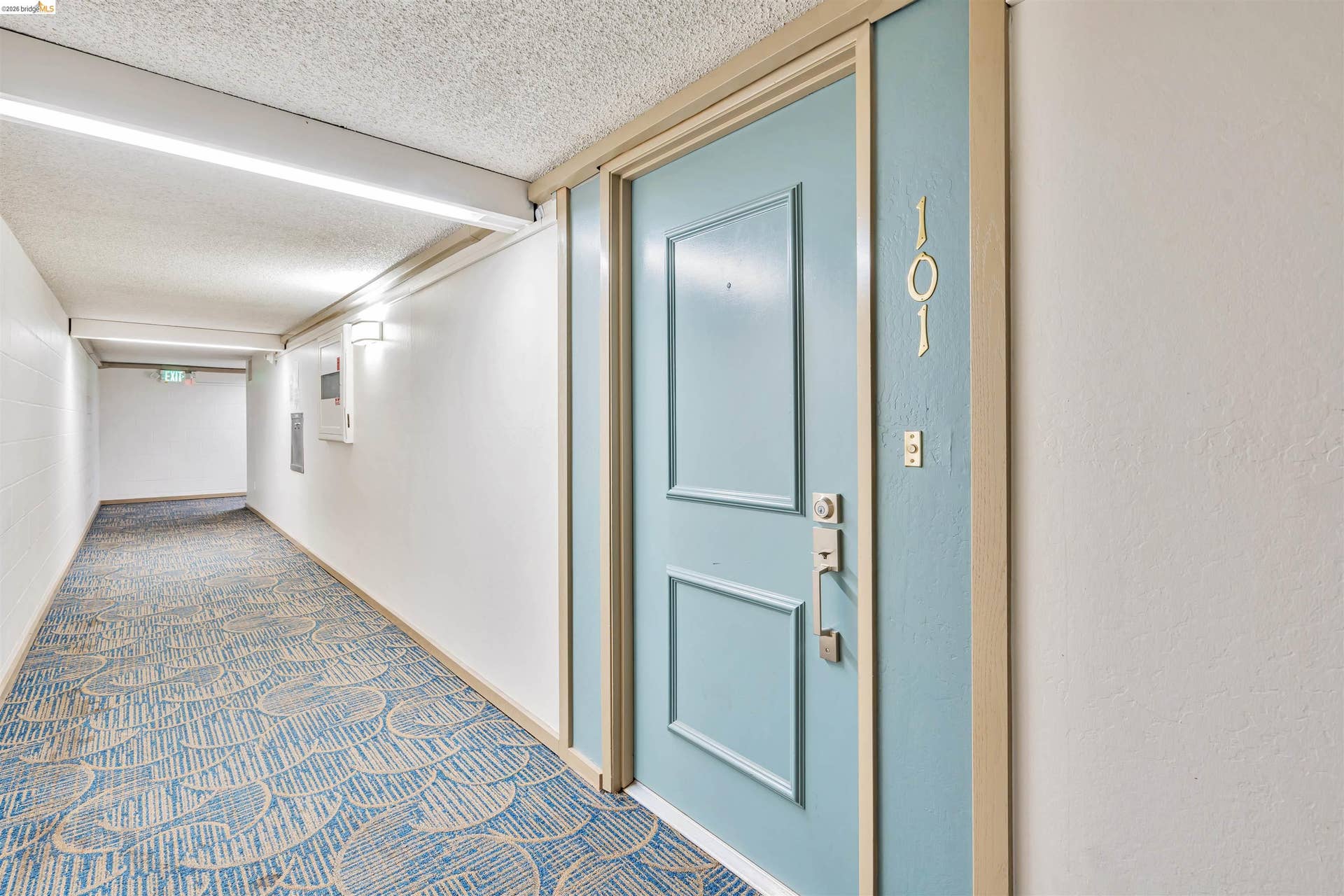 Panel door with gold-toned hardware, white walls, and patterned carpet flooring