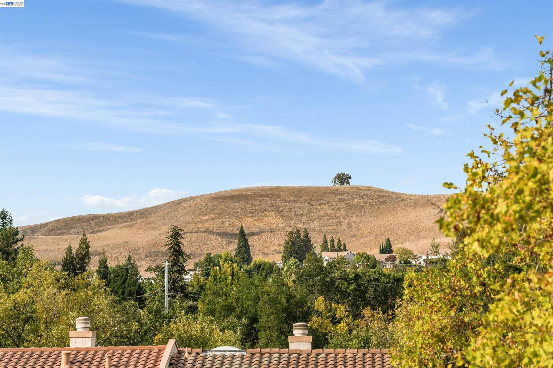 80 Leeds Ct E, Danville, CA 94526