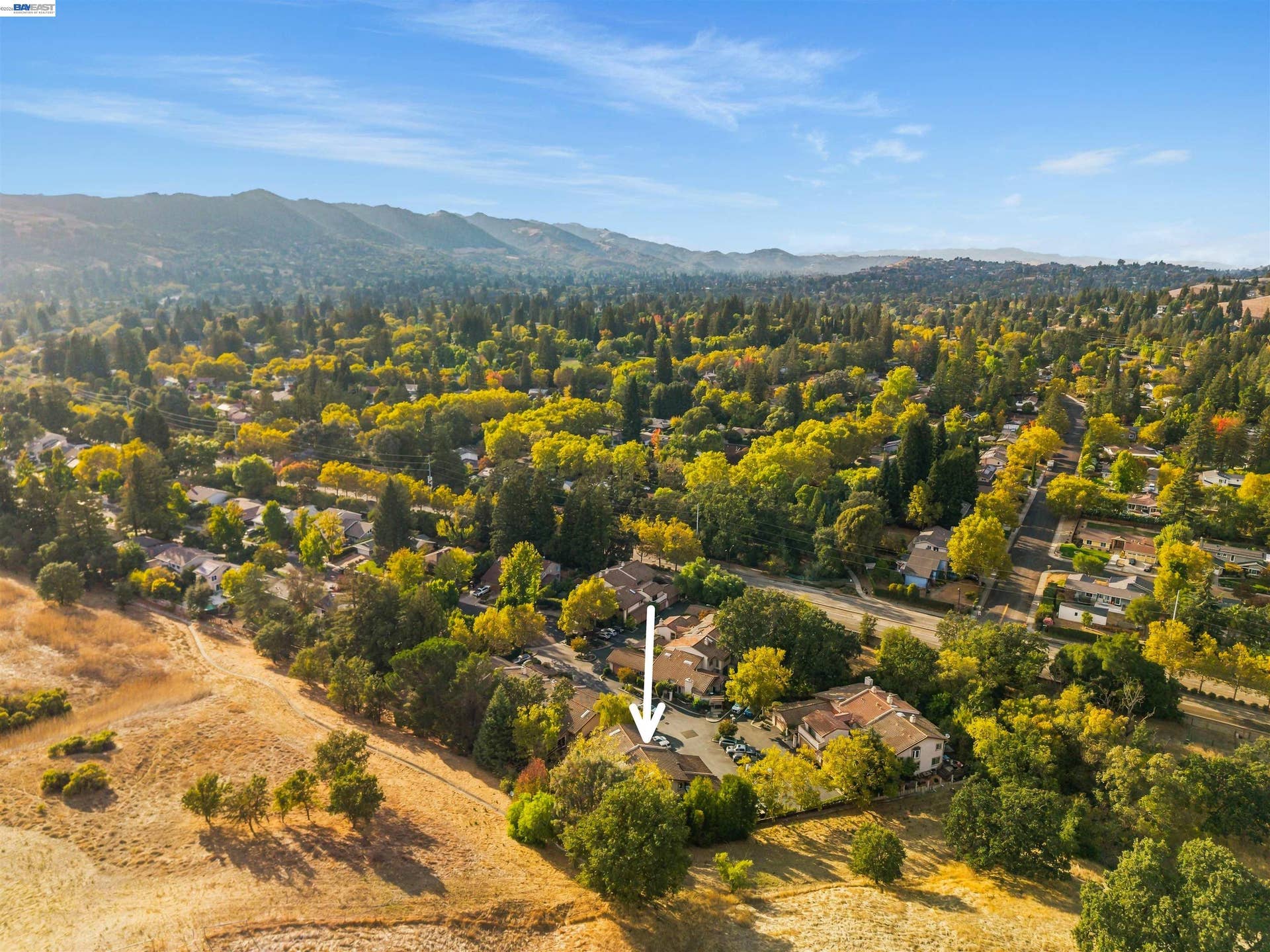 80 Leeds Ct E, Danville, CA 94526