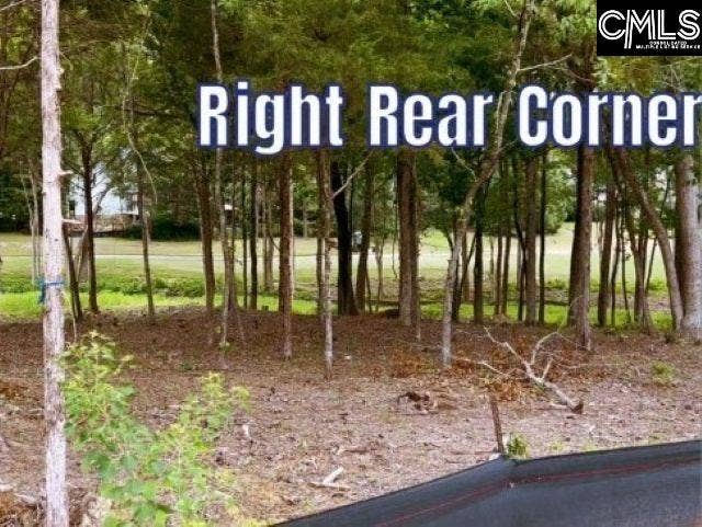 1029 Refuge Place, Chapin, SC 29036