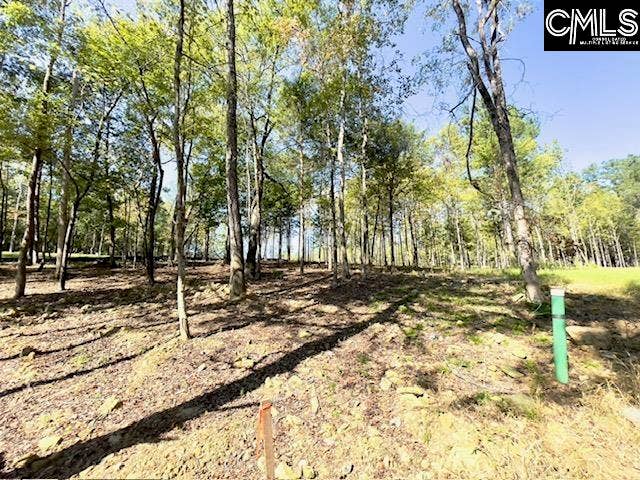 1029 Refuge Place, Chapin, SC 29036