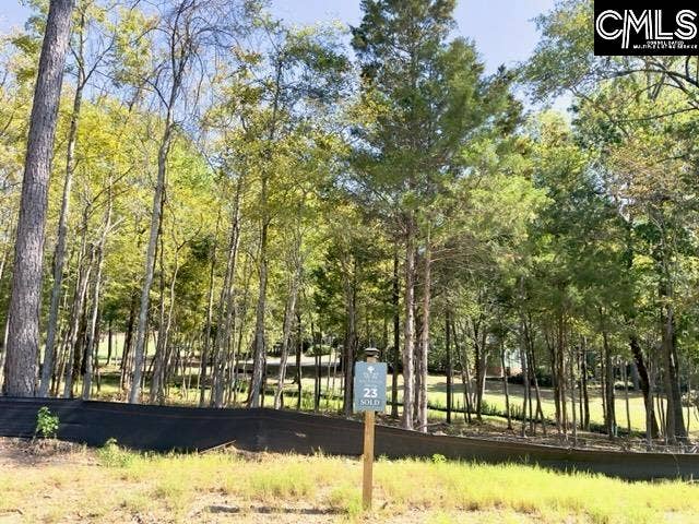 1029 Refuge Place, Chapin, SC 29036