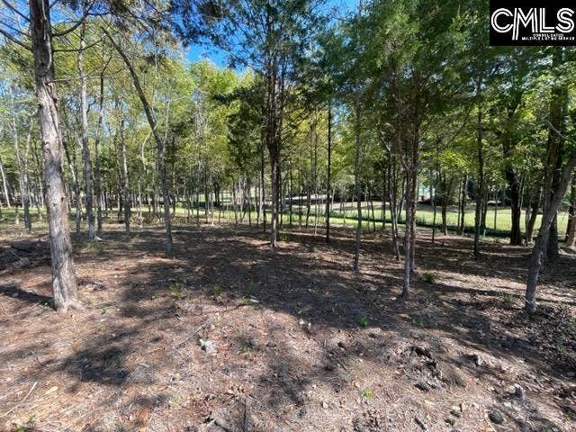 1029 Refuge Place, Chapin, SC 29036