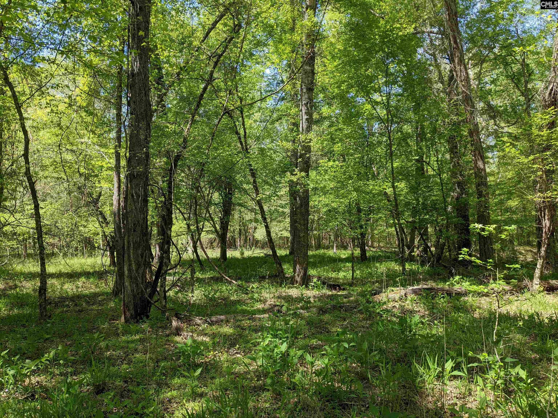 Old Hillcrest School Road, Winnsboro, SC 29180