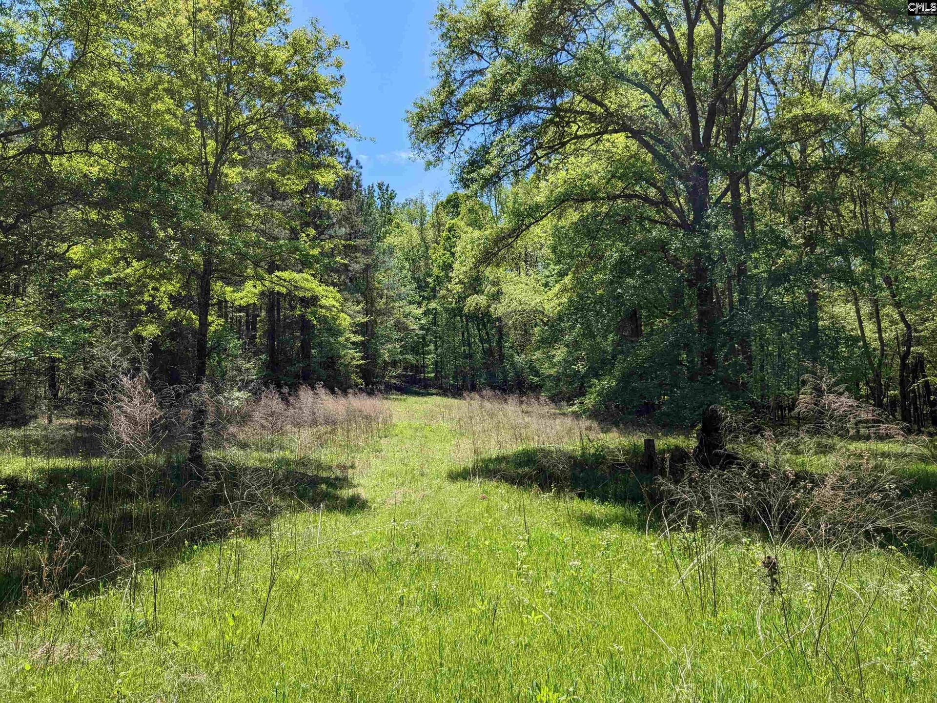 Old Hillcrest School Road, Winnsboro, SC 29180