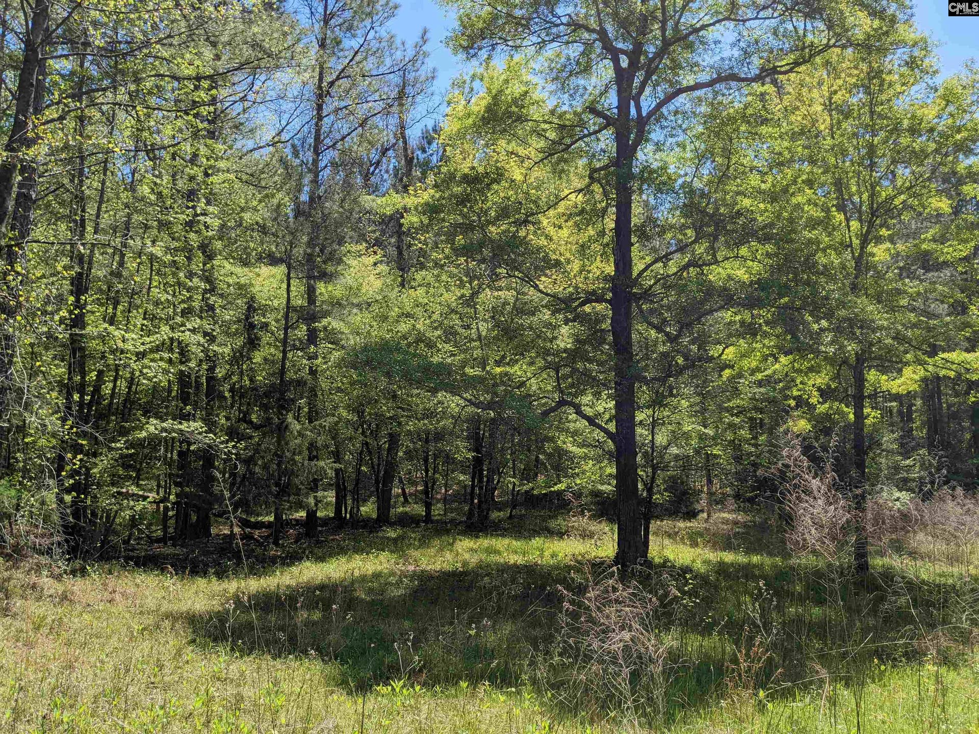 Old Hillcrest School Road, Winnsboro, SC 29180