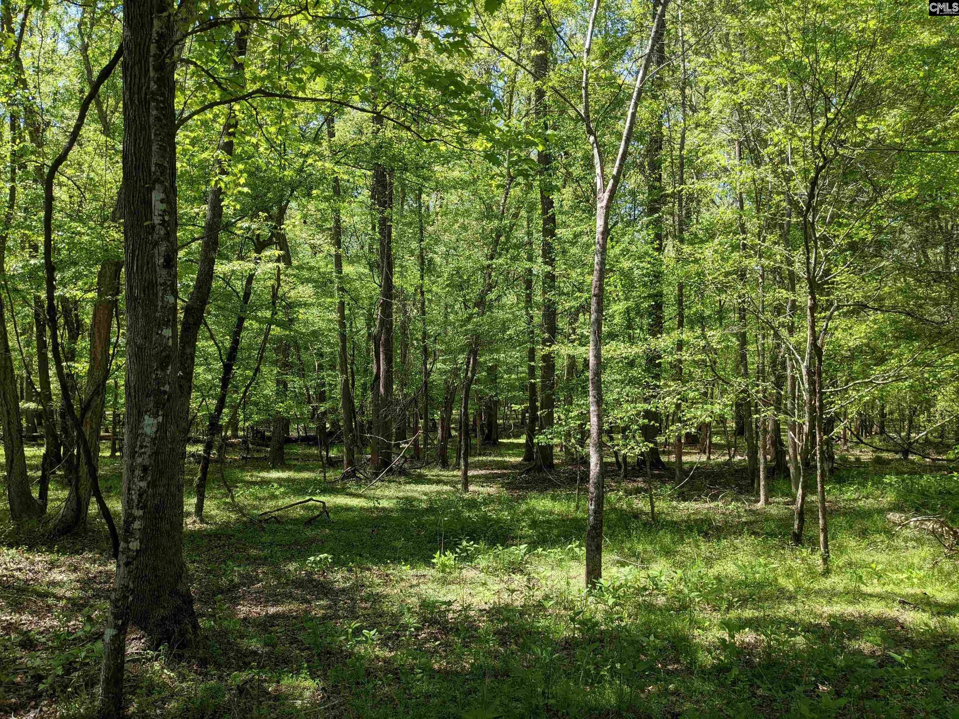 Old Hillcrest School Road, Winnsboro, SC 29180