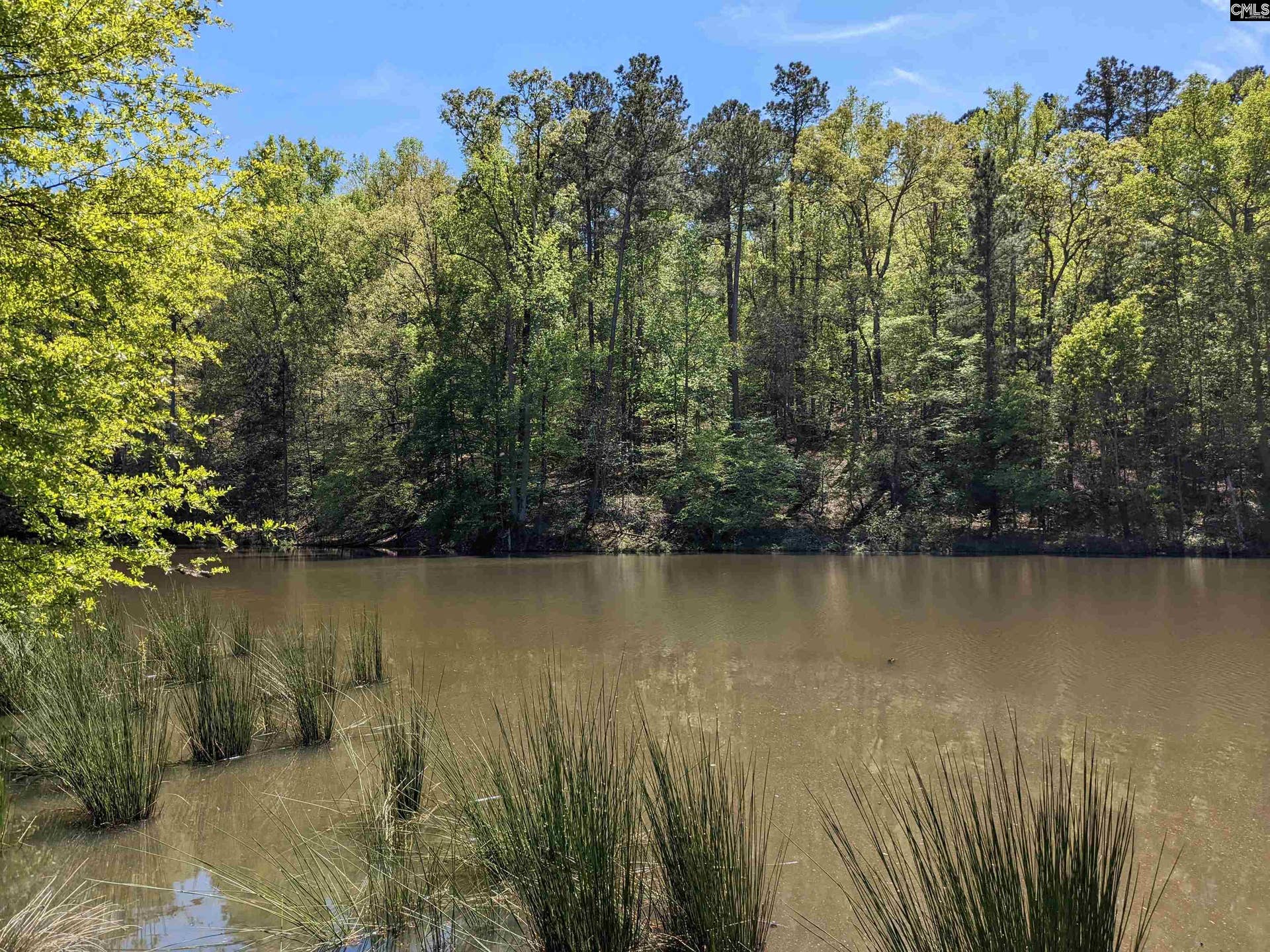Old Hillcrest School Road, Winnsboro, SC 29180